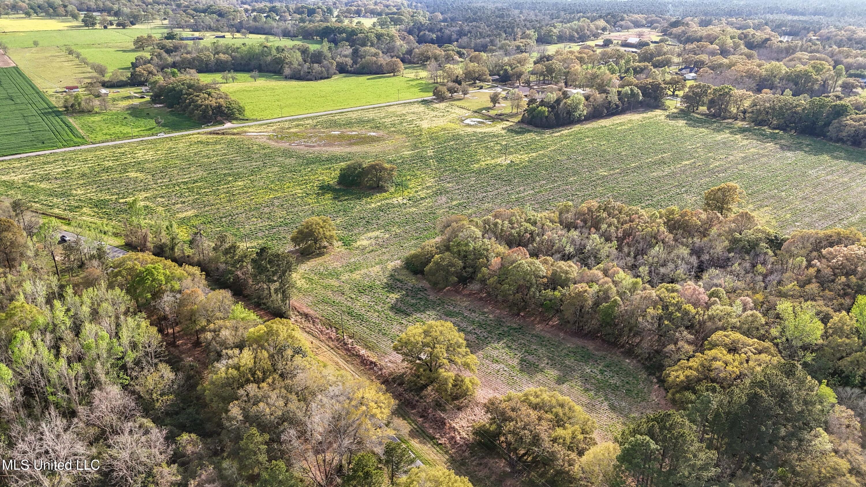 37.9 Acres Ceres Farm Road, Lucedale, Mississippi image 5