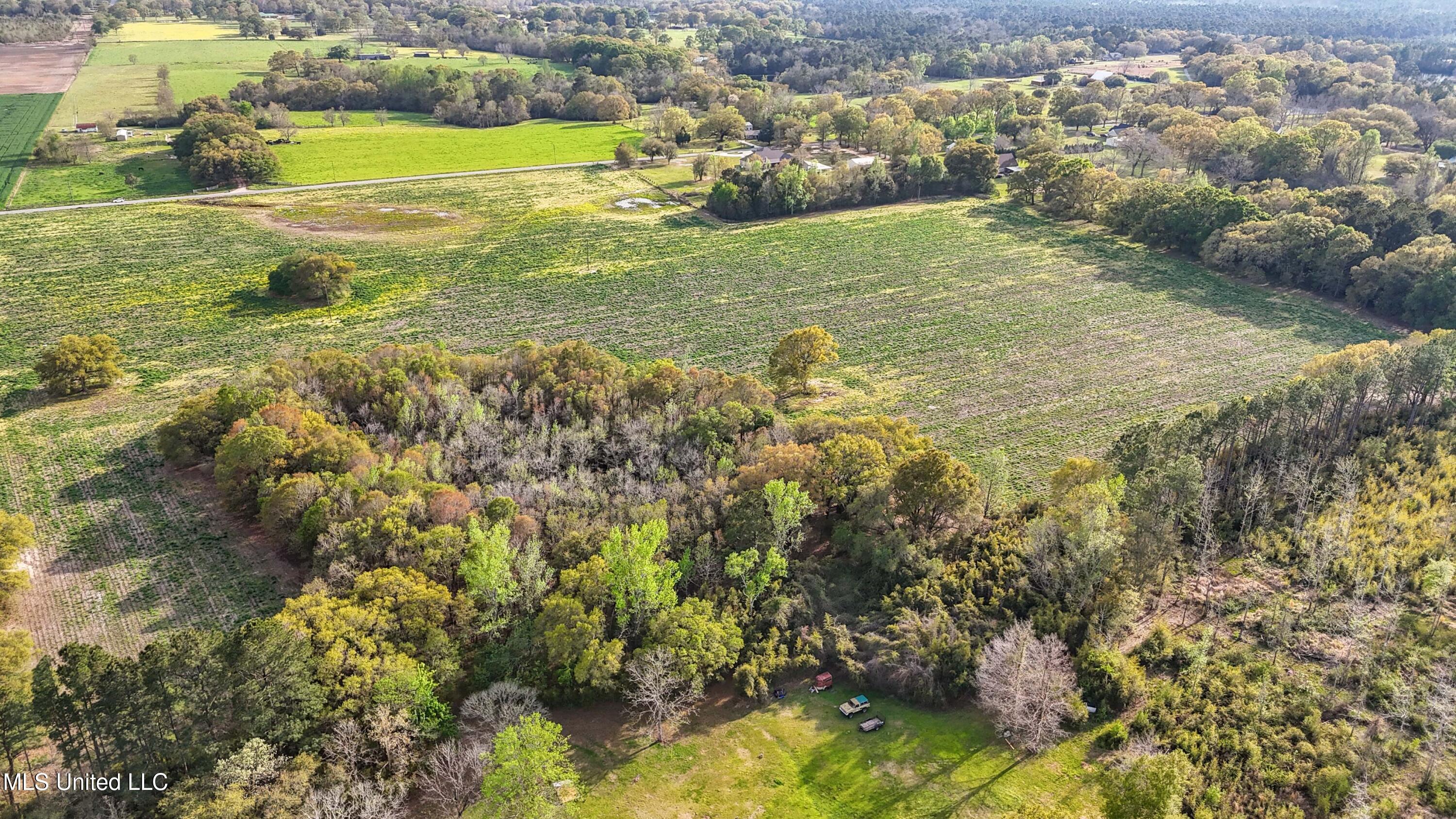 37.9 Acres Ceres Farm Road, Lucedale, Mississippi image 6