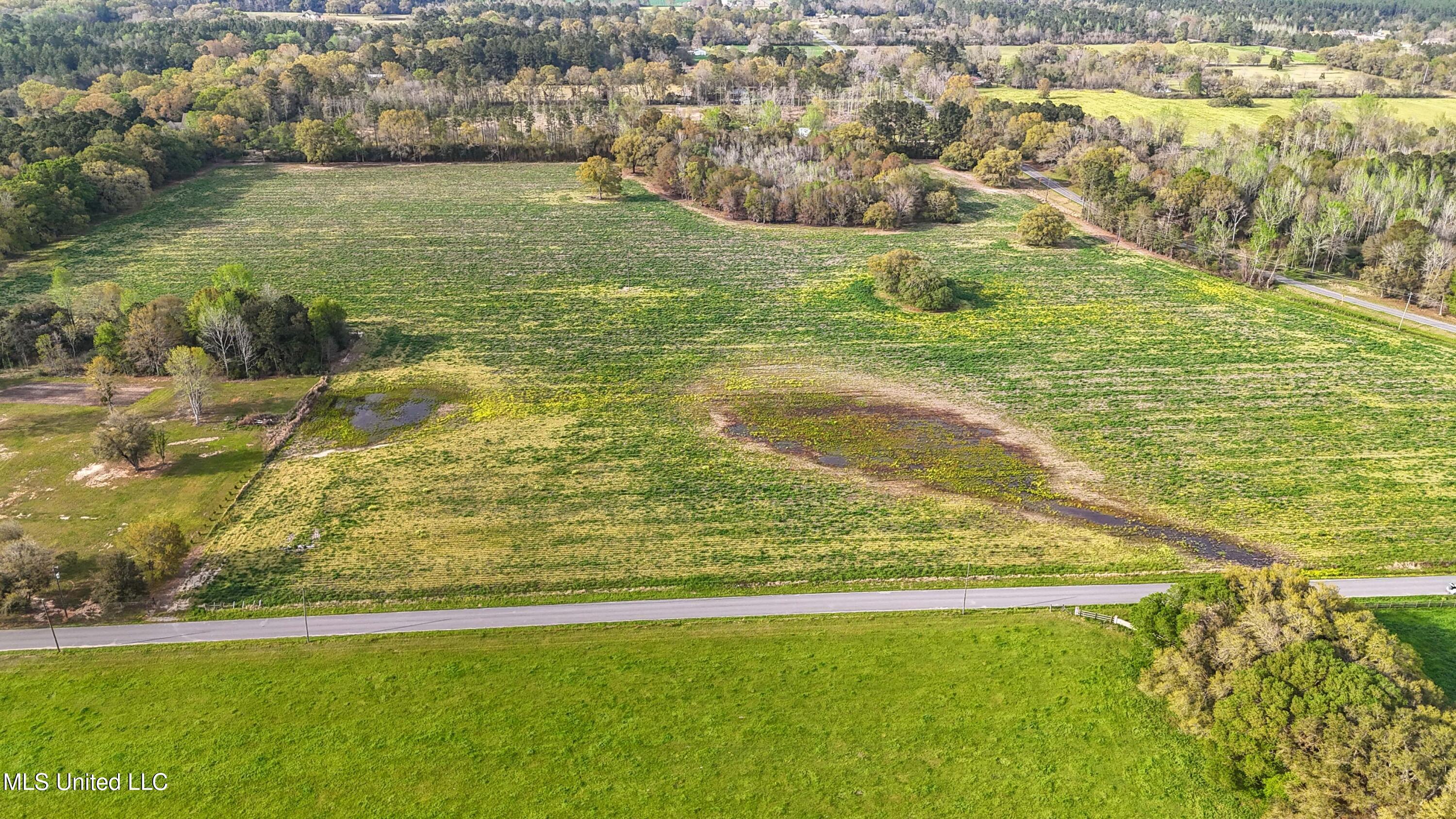37.9 Acres Ceres Farm Road, Lucedale, Mississippi image 13