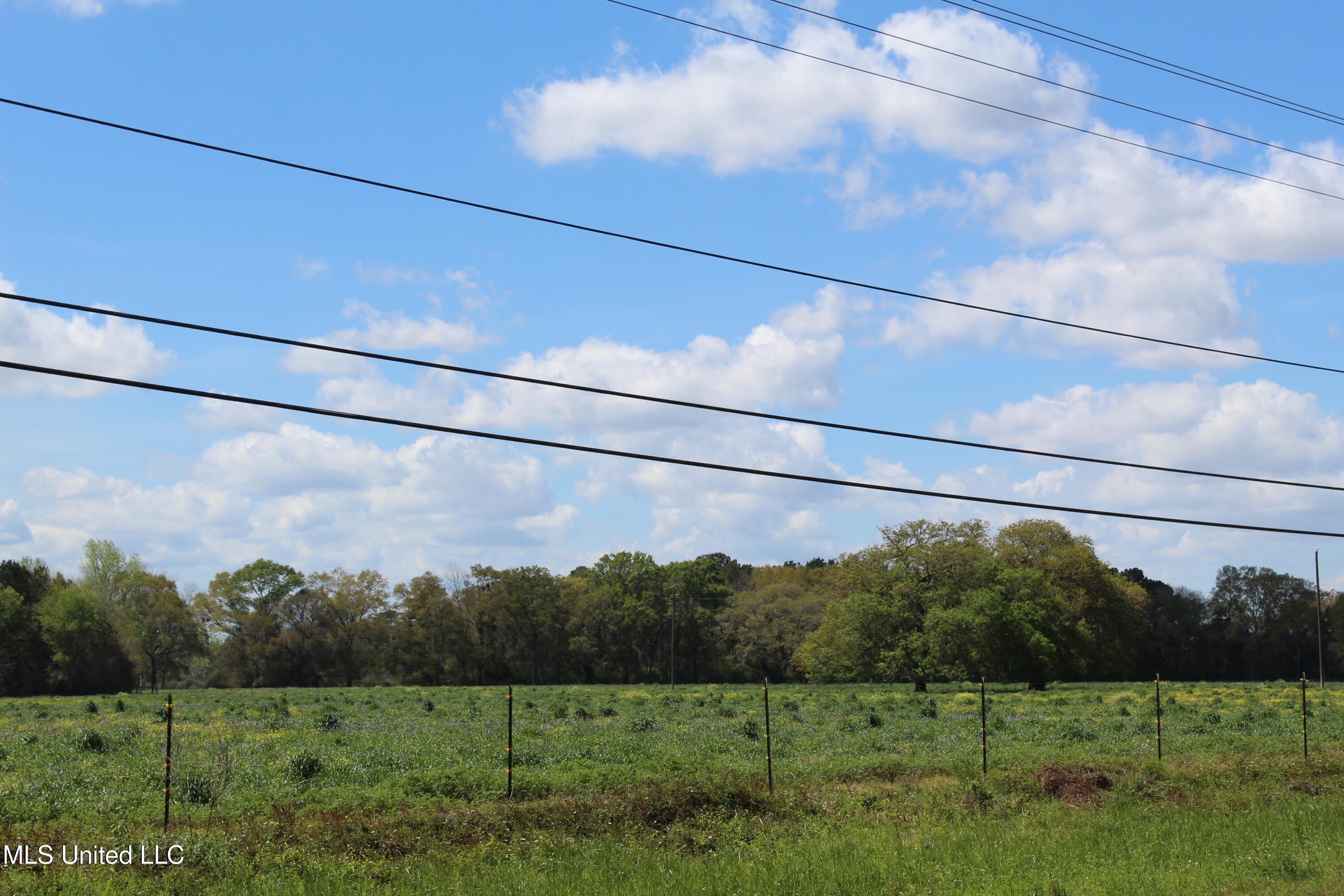 37.9 Acres Ceres Farm Road, Lucedale, Mississippi image 11