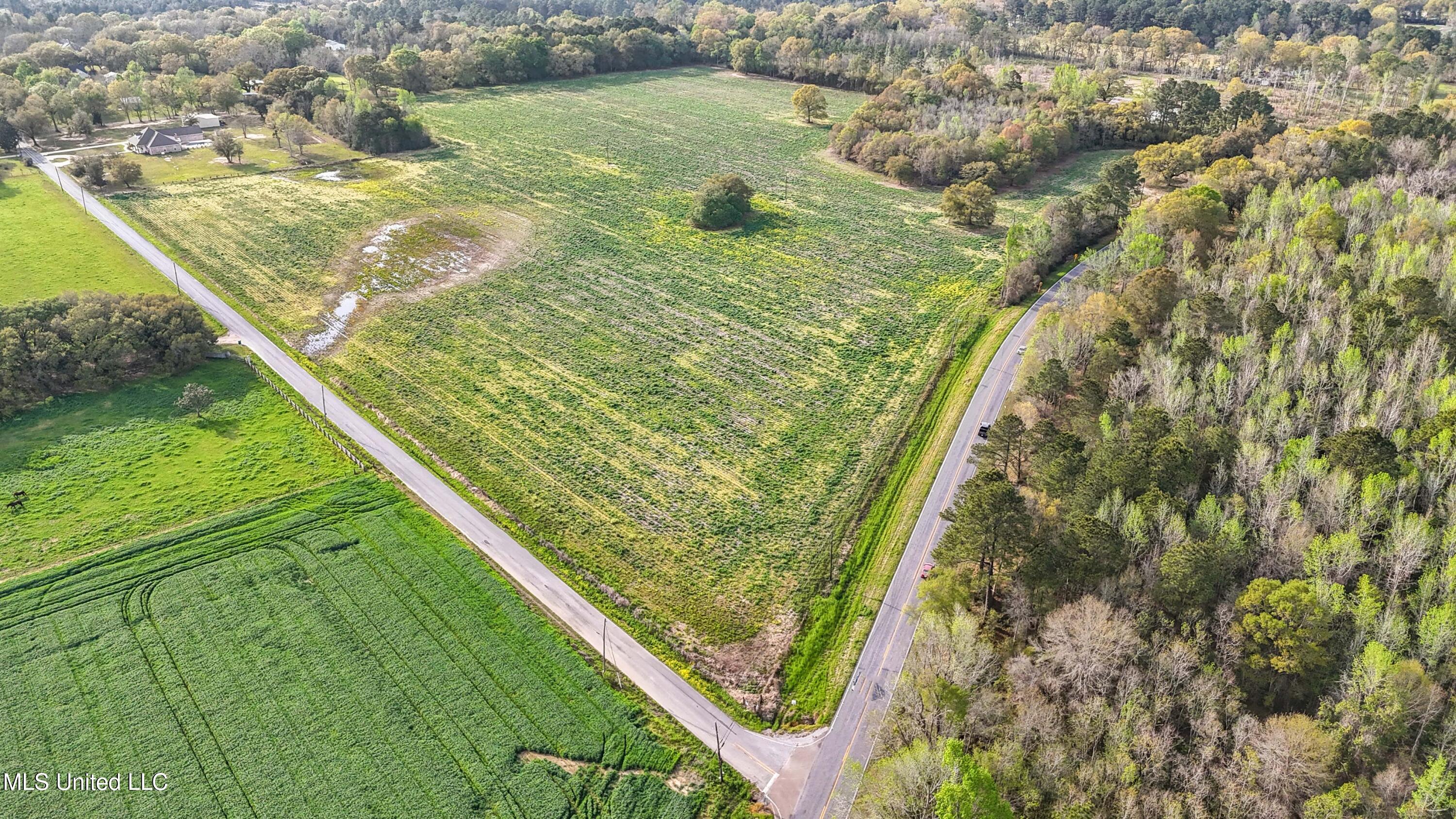 37.9 Acres Ceres Farm Road, Lucedale, Mississippi image 11