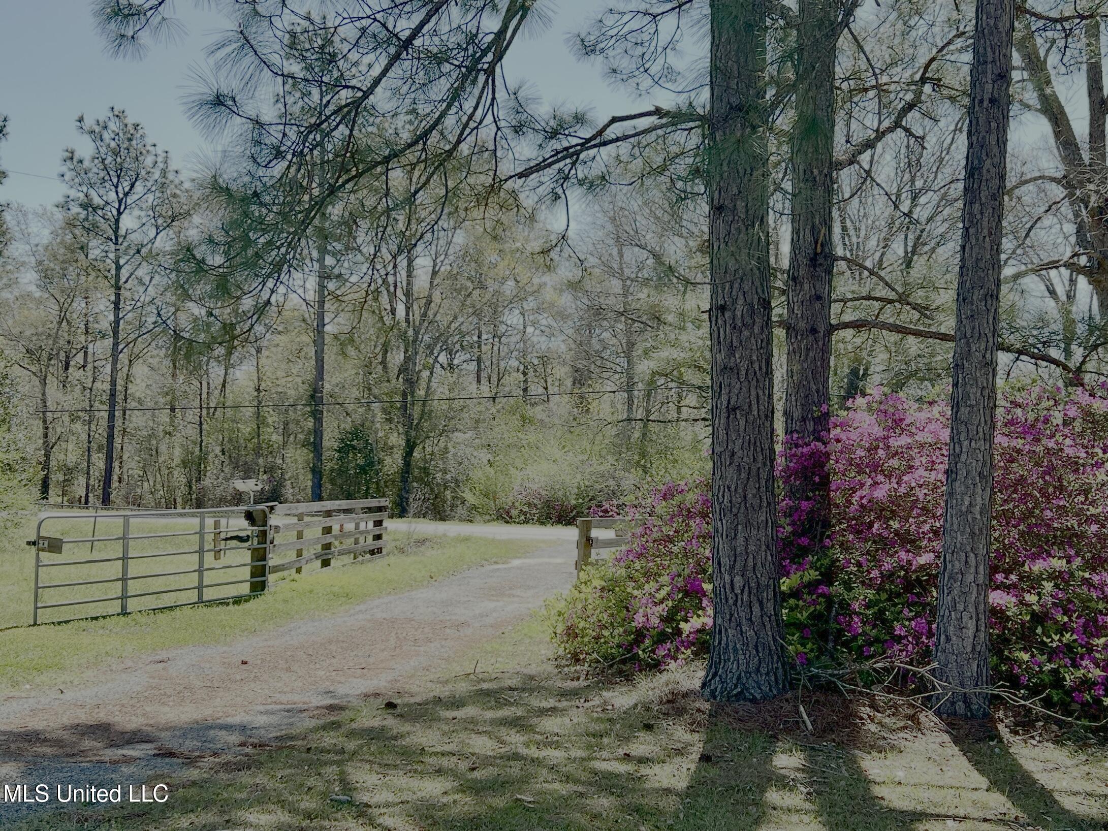 2221 Brushy Creek Road, Lucedale, Mississippi image 4