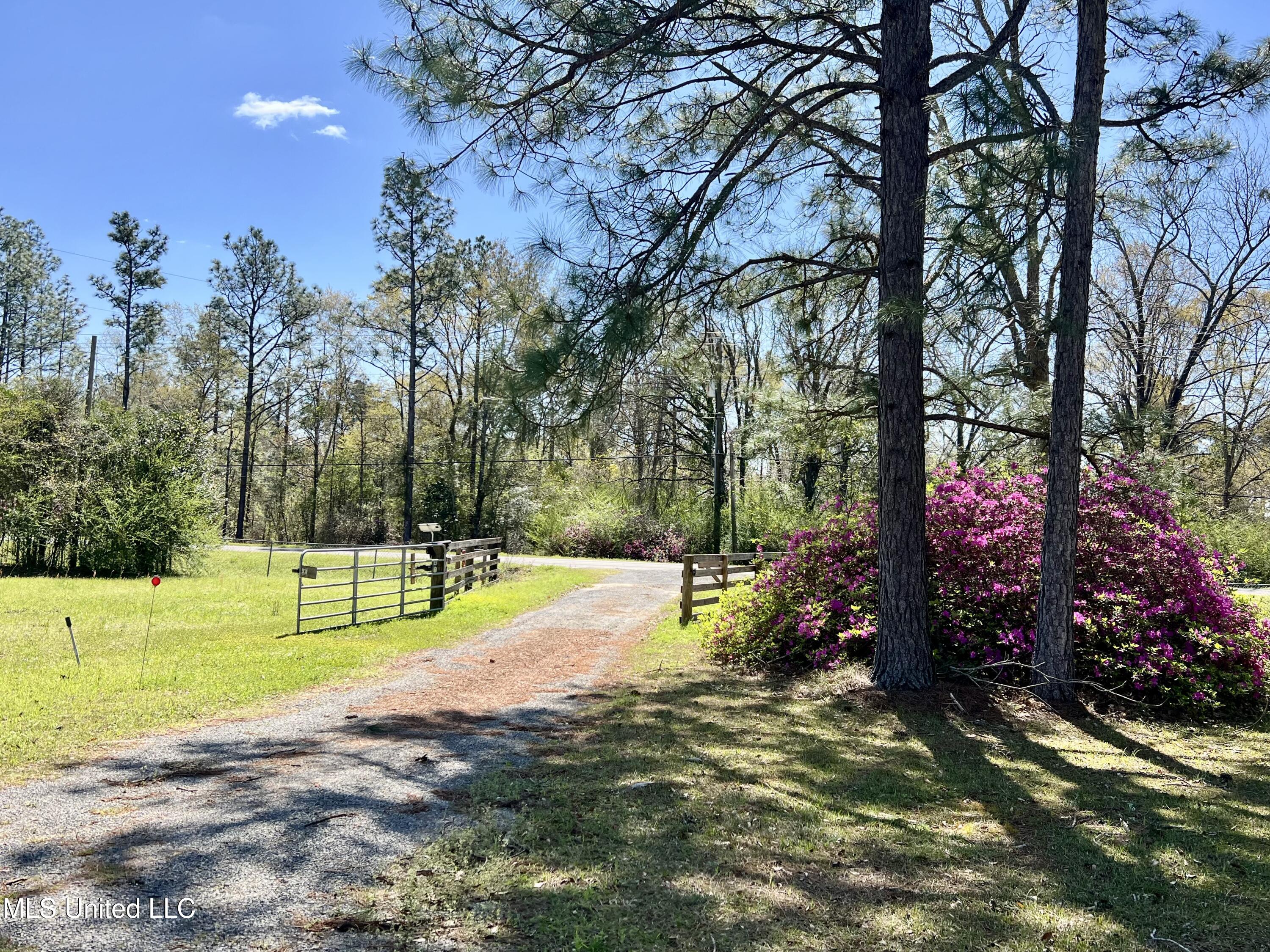 2221 Brushy Creek Road, Lucedale, Mississippi image 2