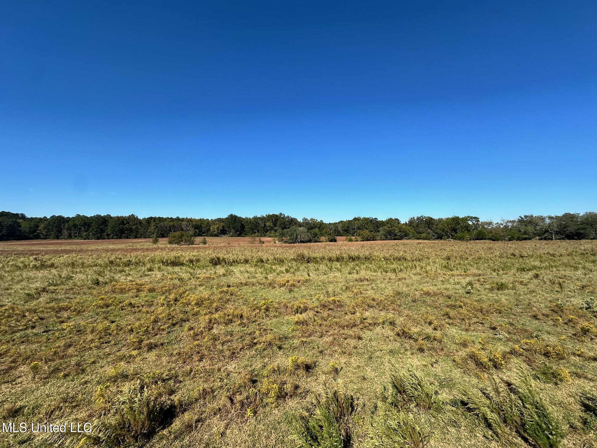 Lot #2 Robinson - Warren Meadows Road, Canton, Mississippi image 1