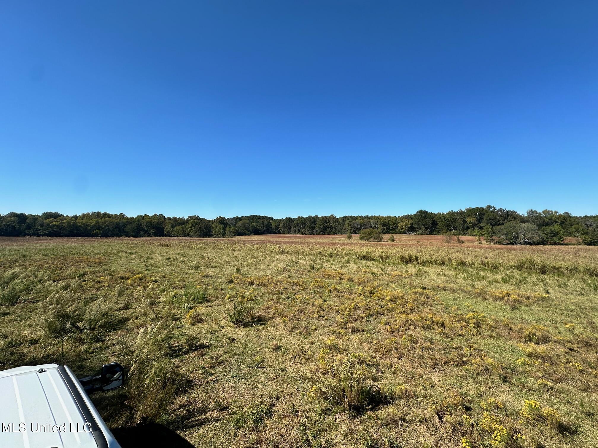 Lot #2 Robinson - Warren Meadows Road, Canton, Mississippi image 6