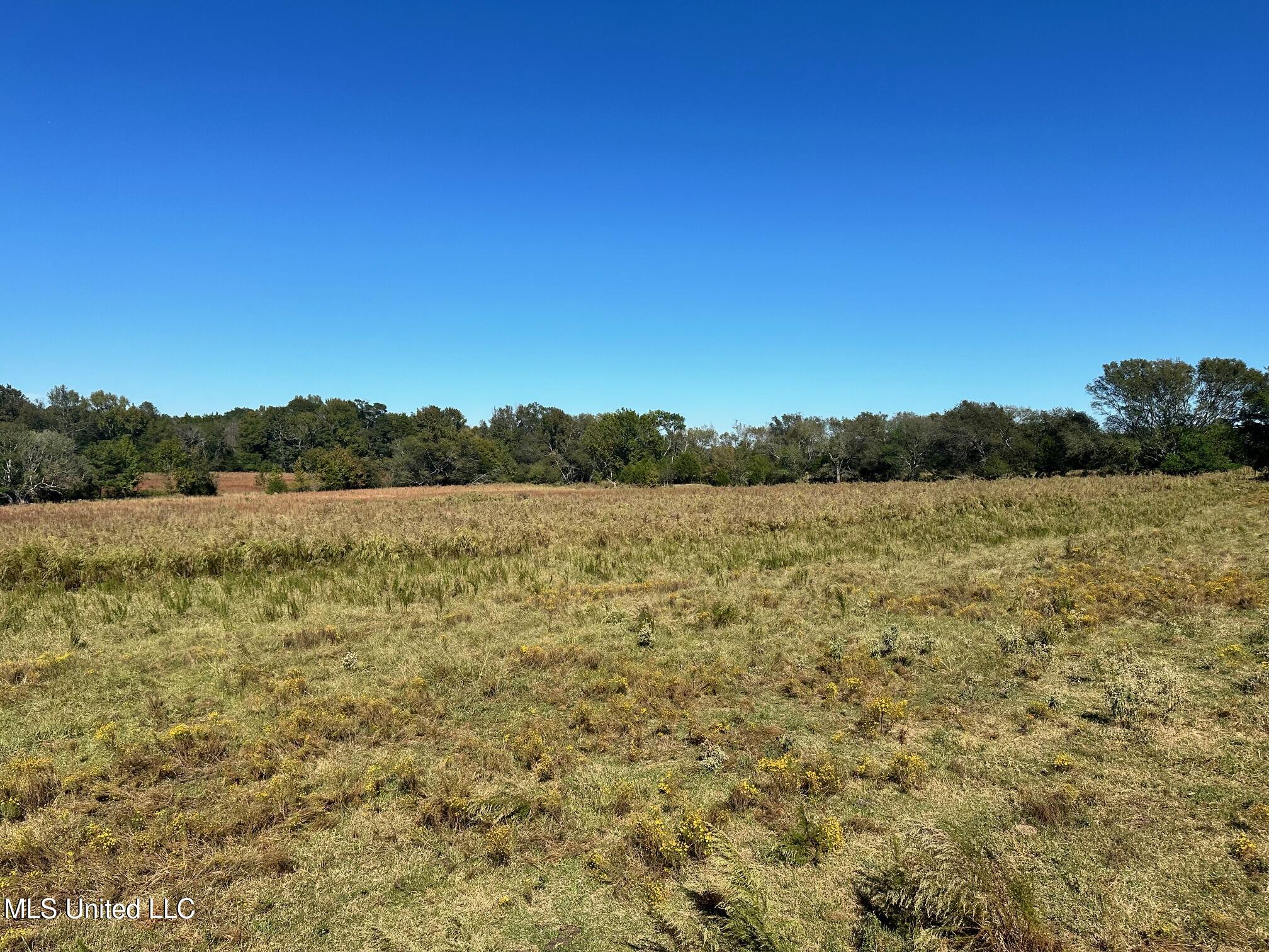 Lot #2 Robinson - Warren Meadows Road, Canton, Mississippi image 4