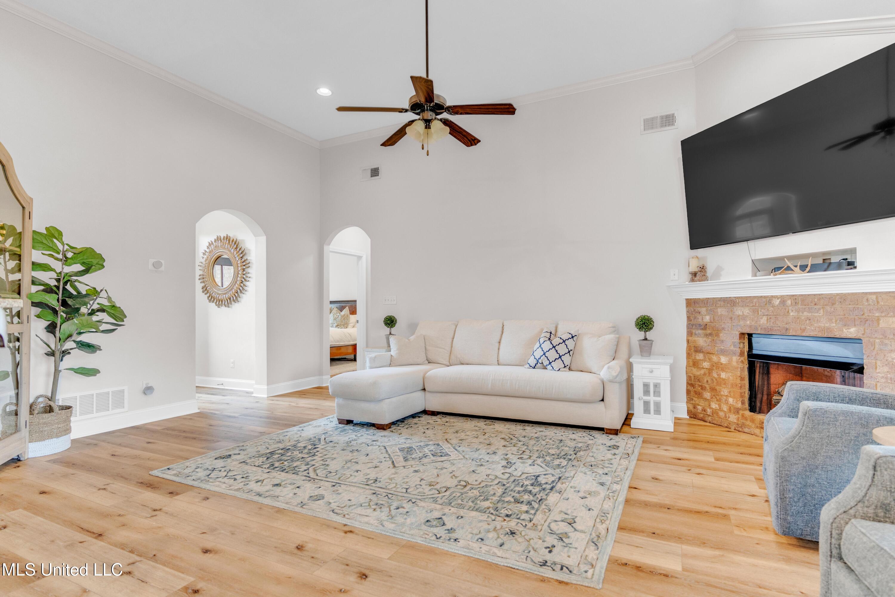 2205 Spring Ridge Drive, Hernando, Mississippi image 9