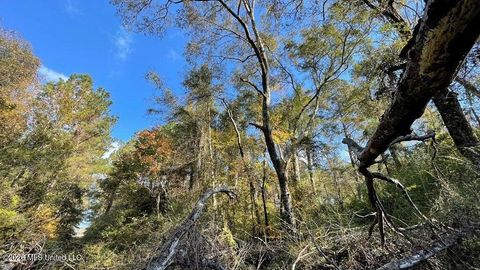 Vacant Land For Sale - Schmidt Road<br/> Pike County, McComb, MS 39648