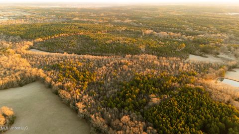 Vacant Land For Sale - 3885 Attala Road 4153<br/> Attala County, Sallis, MS 39160