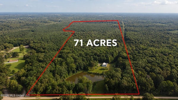 3579 BETT RD, COLDWATER, MS 38618 - Image 79e53e91d2cad7103b4d28a6c4978dfd/4215140474