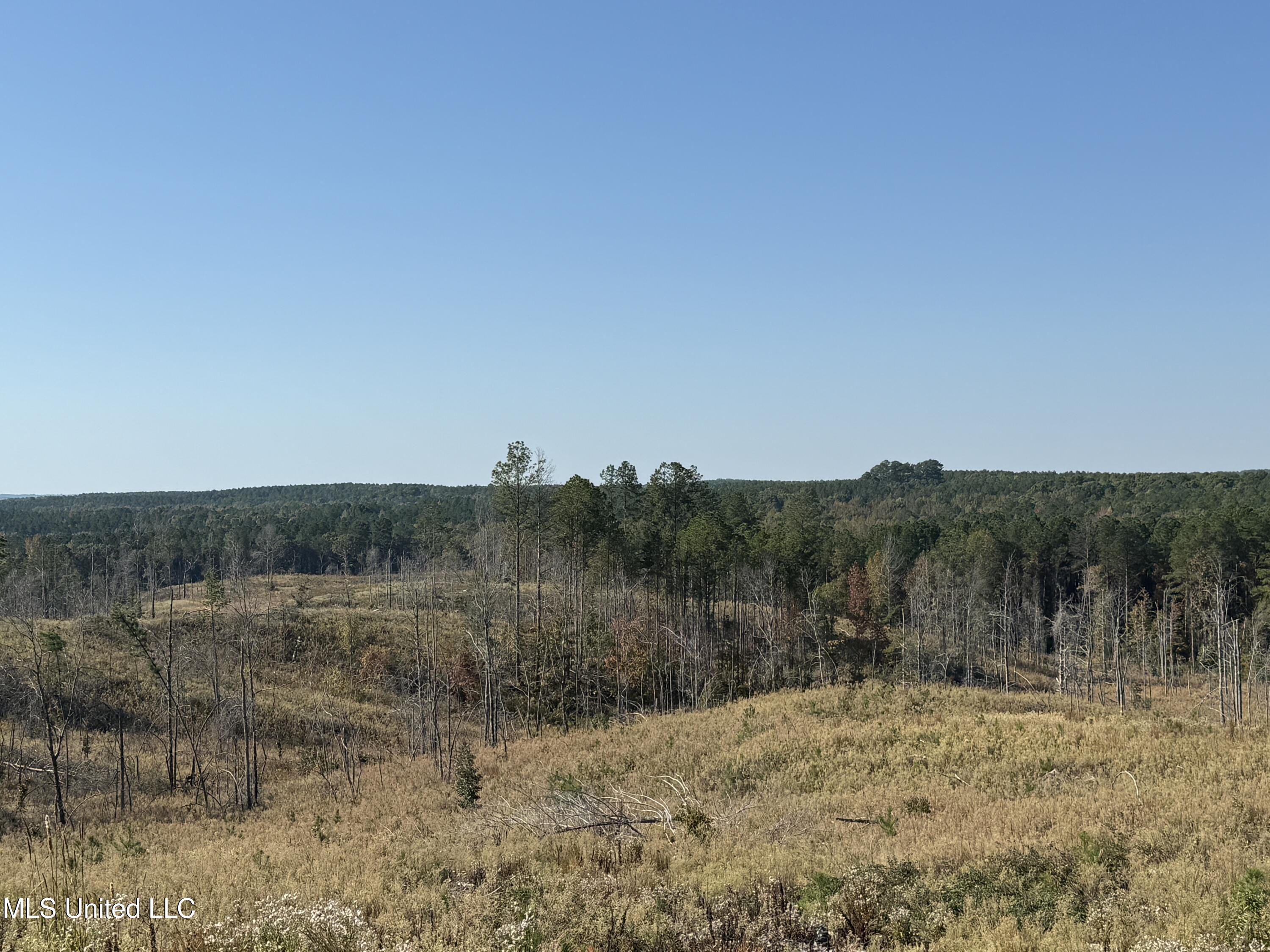 Off Highway 315, Water Valley, Mississippi image 26