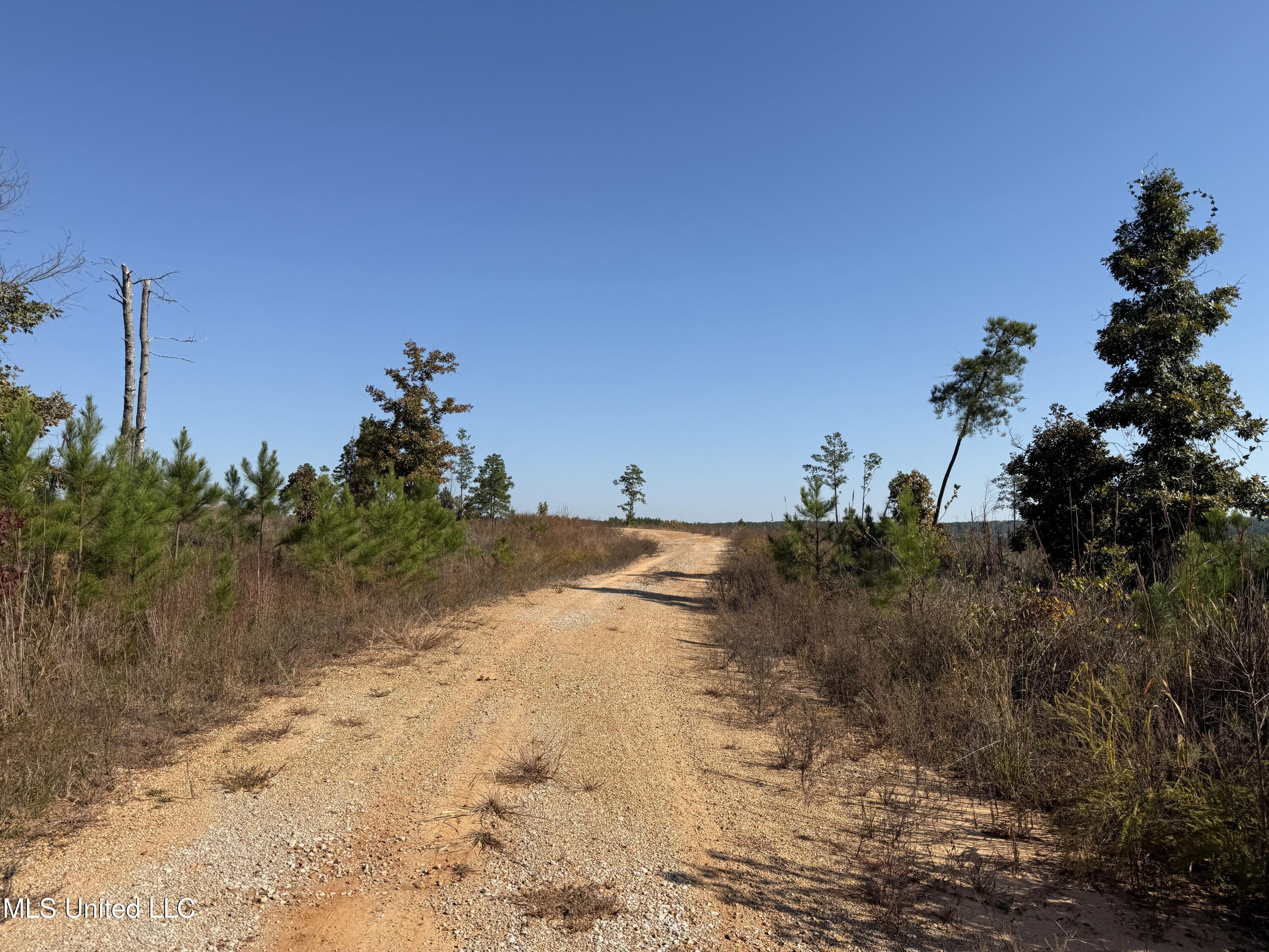 Off Highway 315, Water Valley, Mississippi image 18