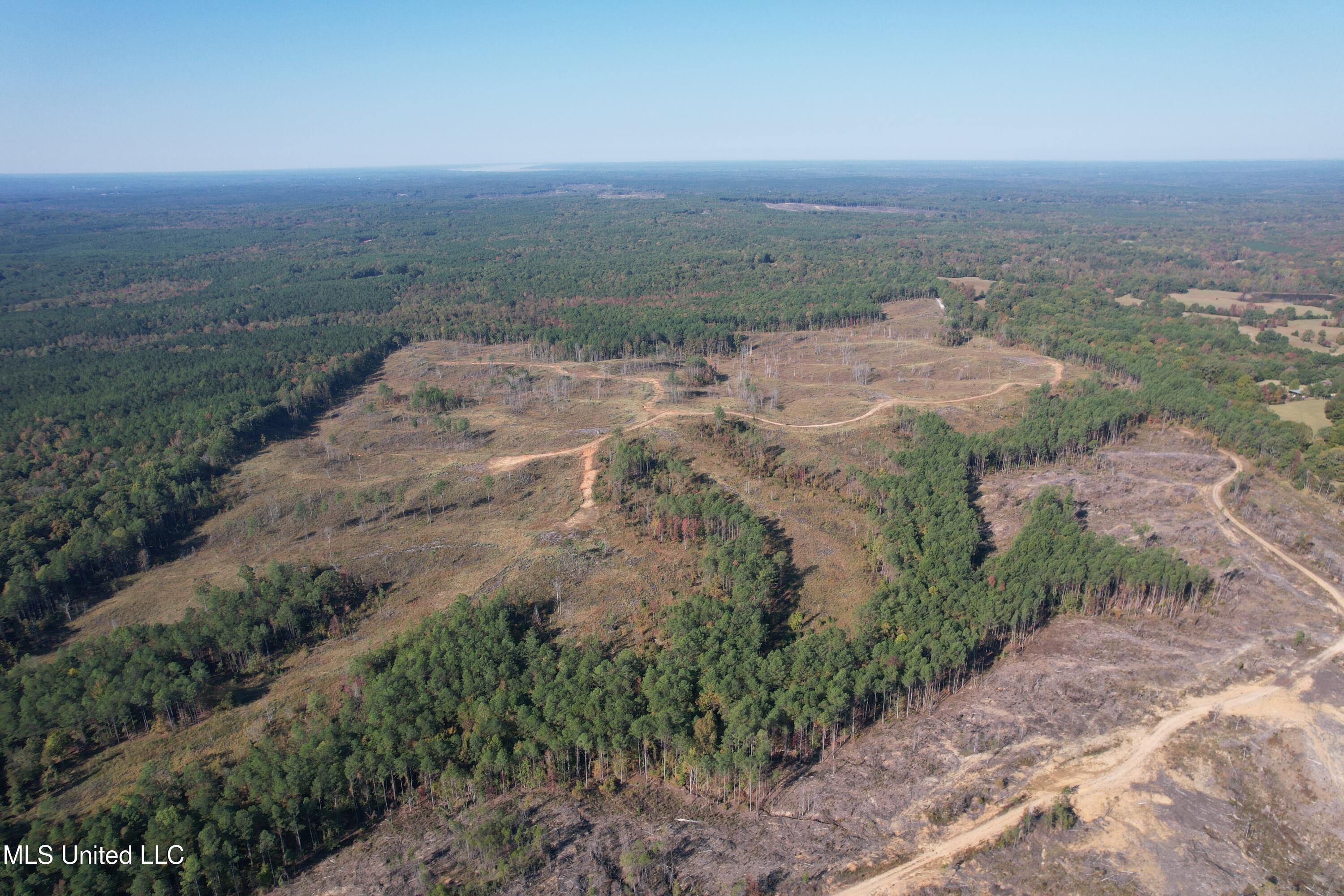 Off Highway 315, Water Valley, Mississippi image 2