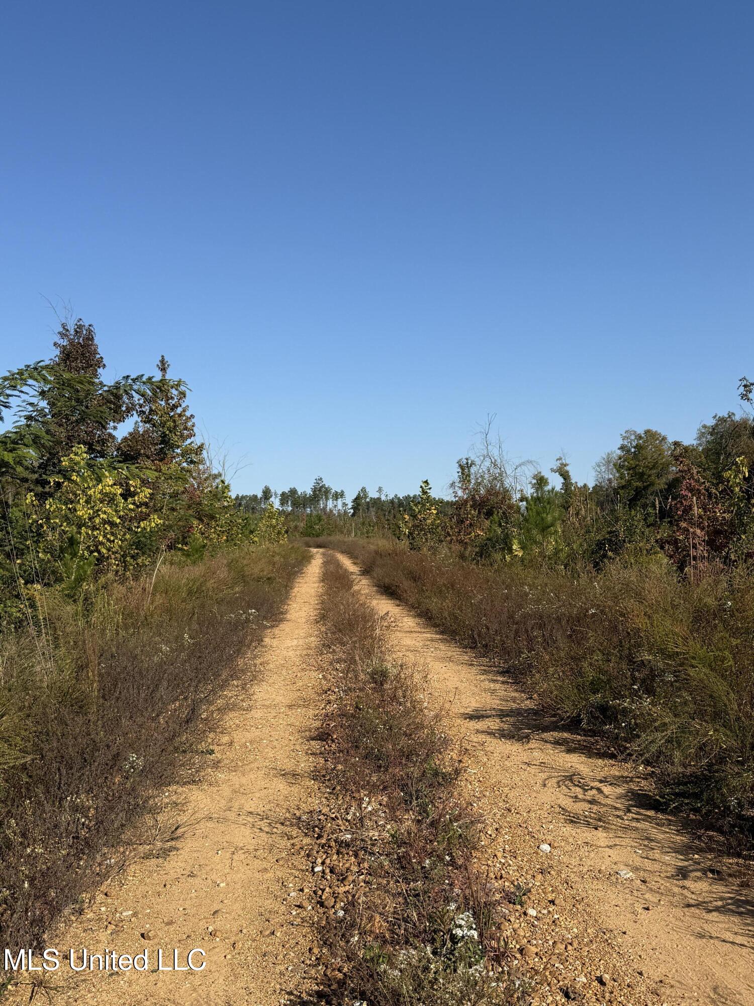 Off Highway 315, Water Valley, Mississippi image 7