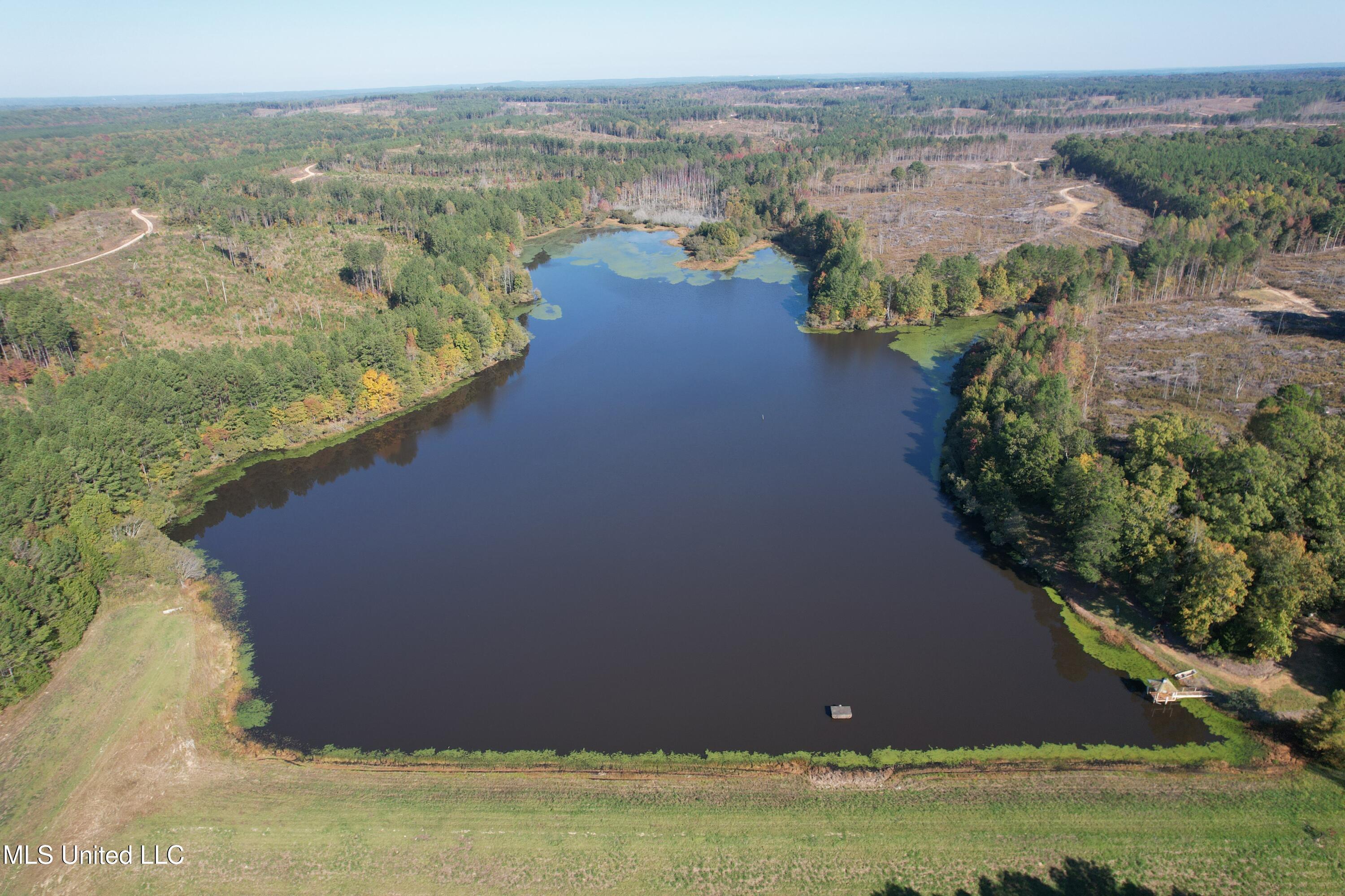 Off Highway 315, Water Valley, Mississippi image 4