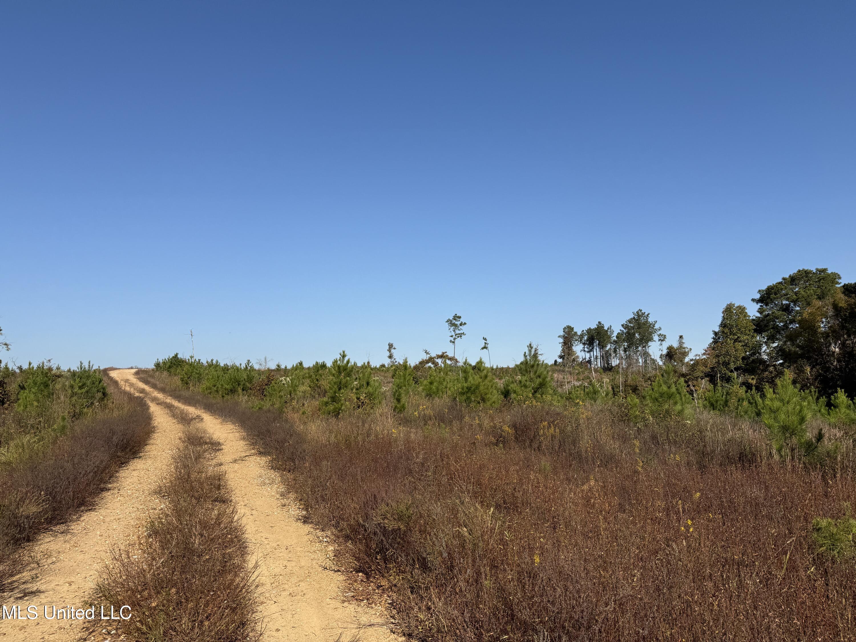 Off Highway 315, Water Valley, Mississippi image 15