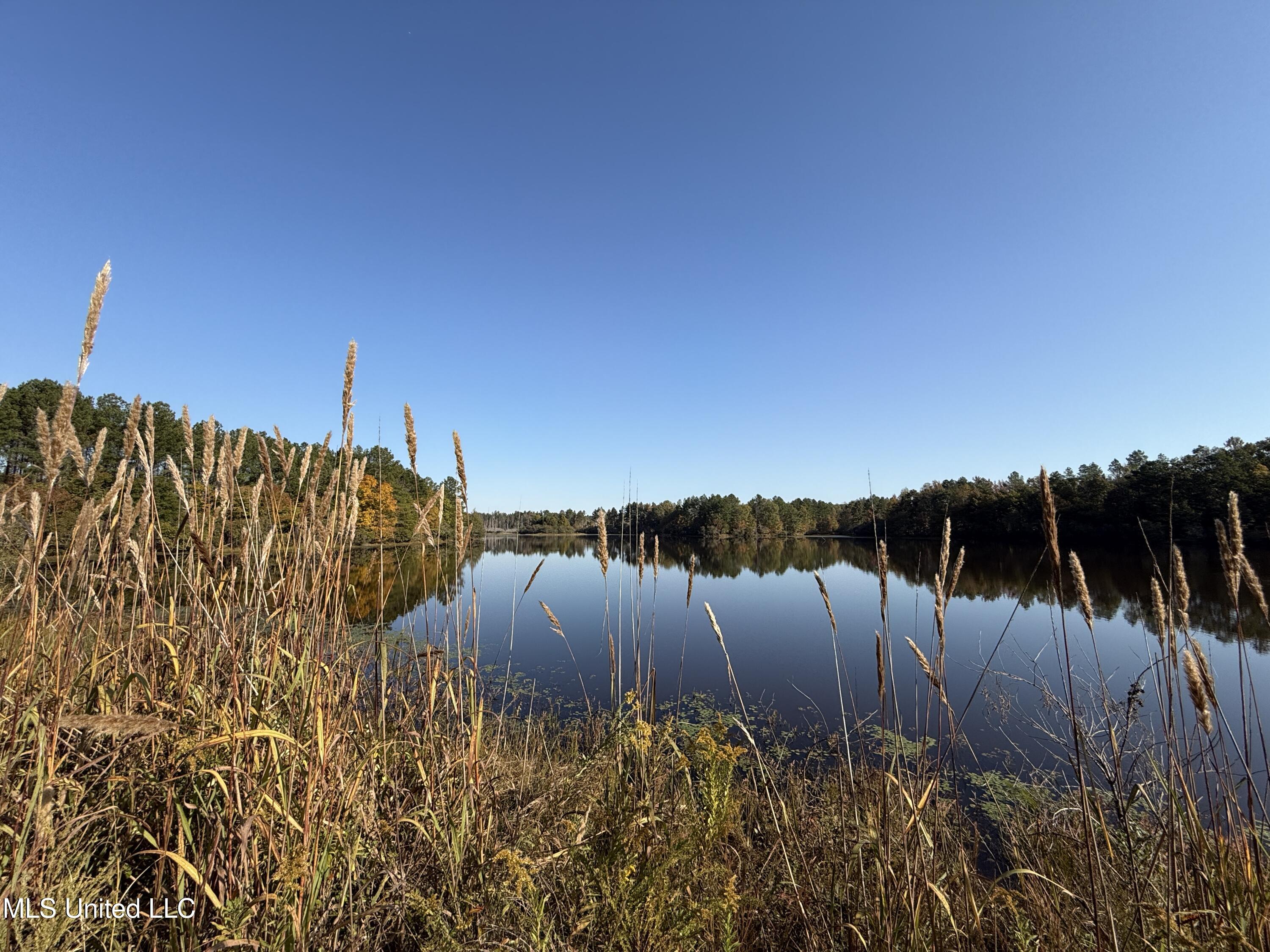 Off Highway 315, Water Valley, Mississippi image 12