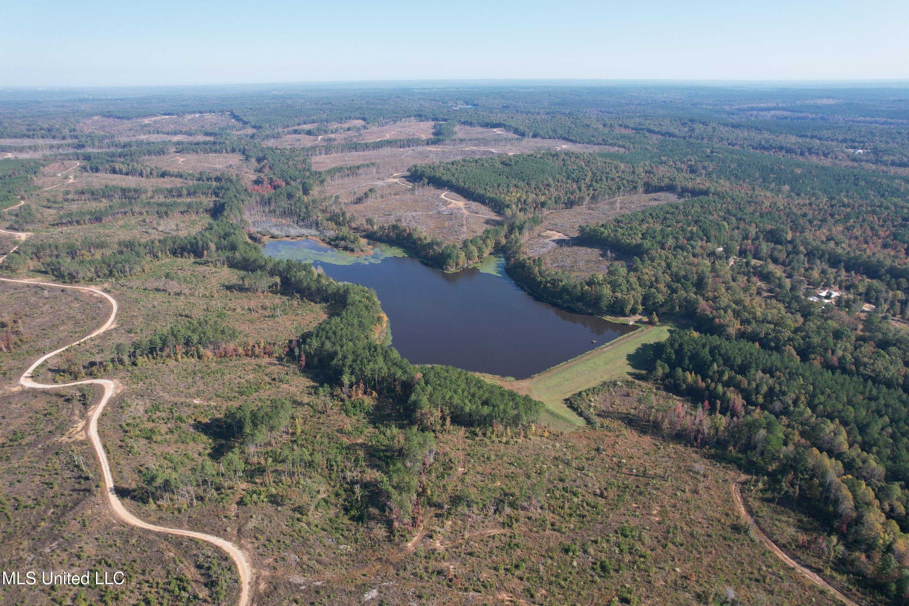 Off Highway 315, Water Valley, Mississippi image 5