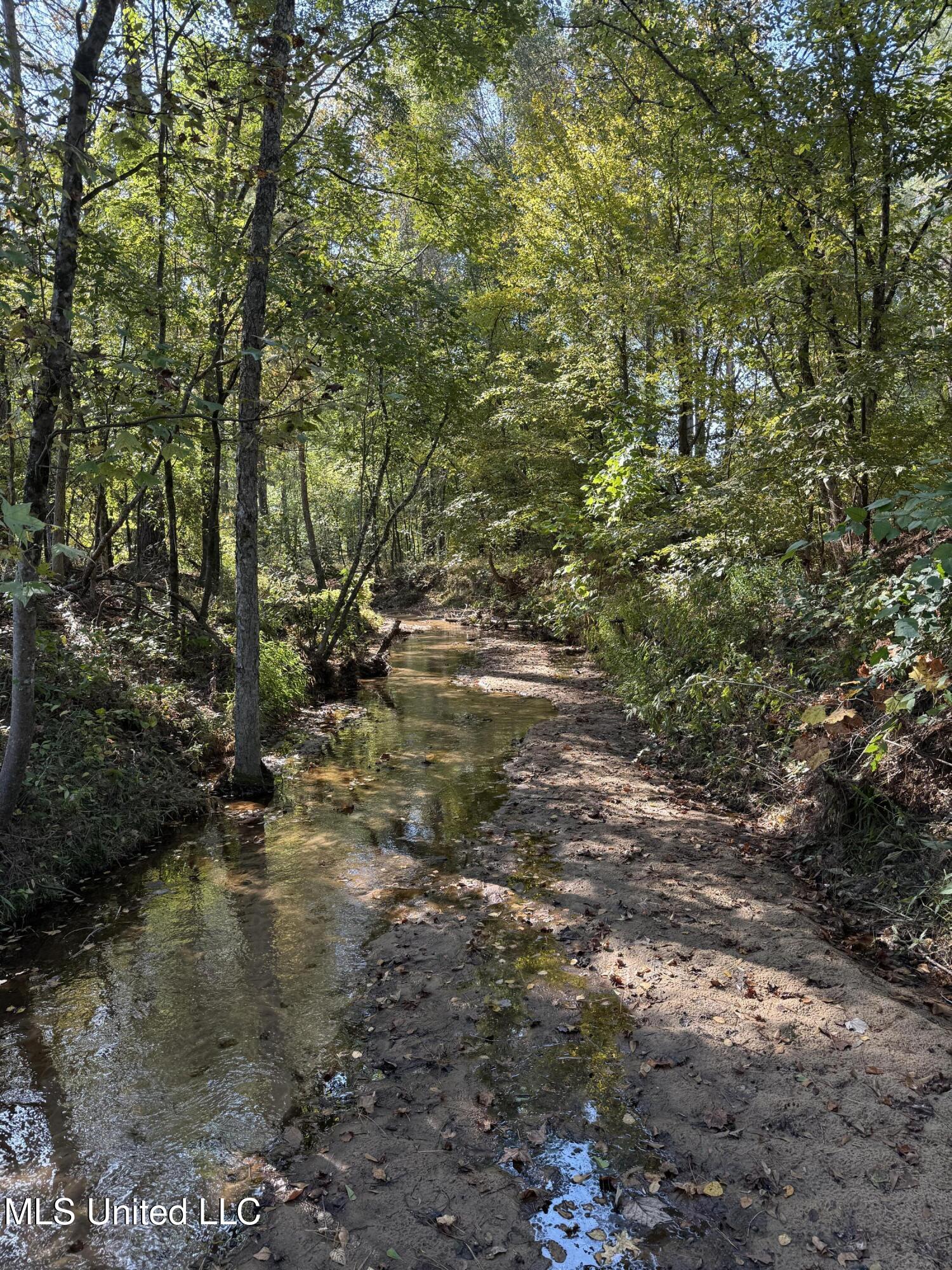 Off Highway 315, Water Valley, Mississippi image 31