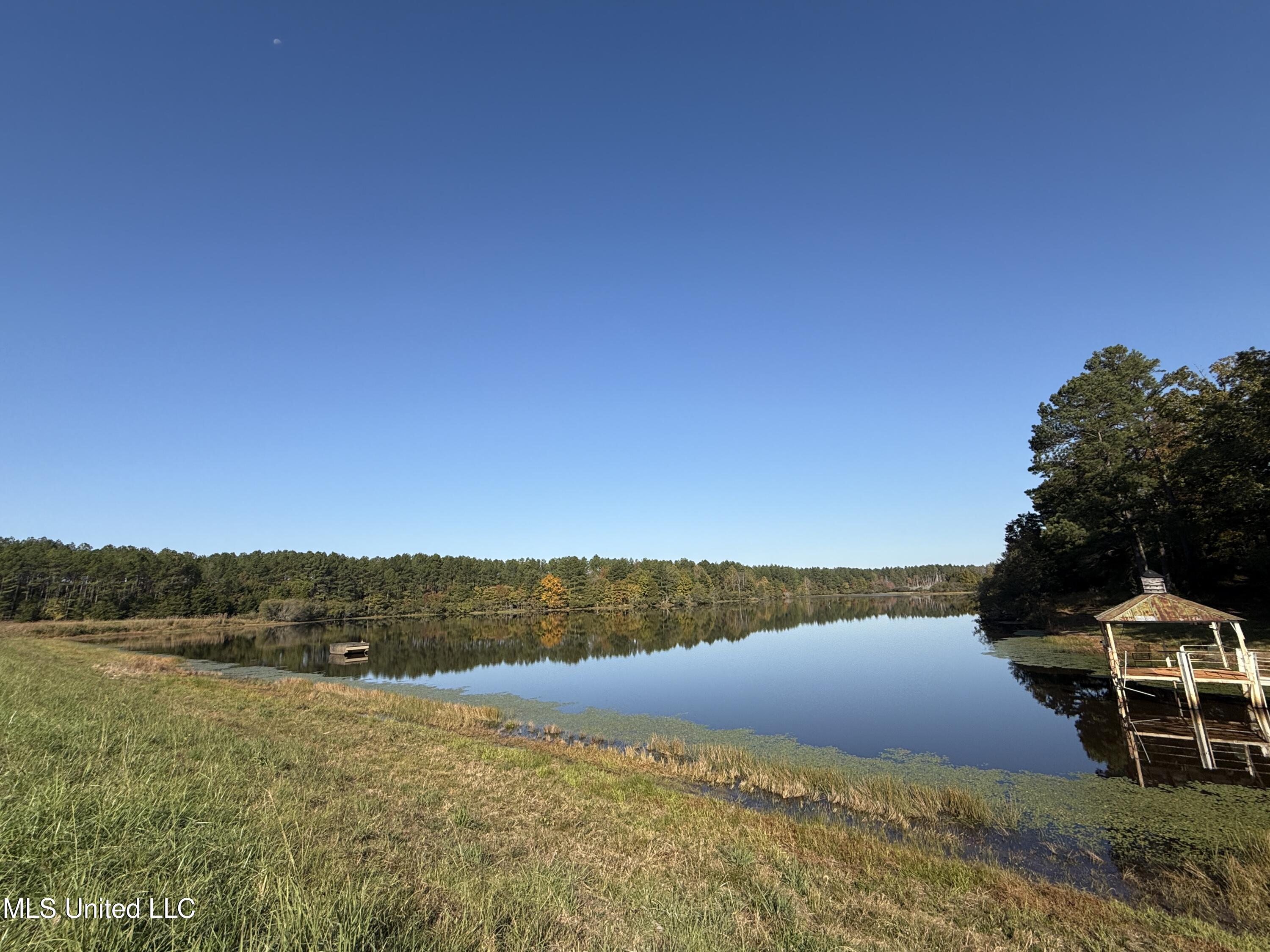 Off Highway 315, Water Valley, Mississippi image 9