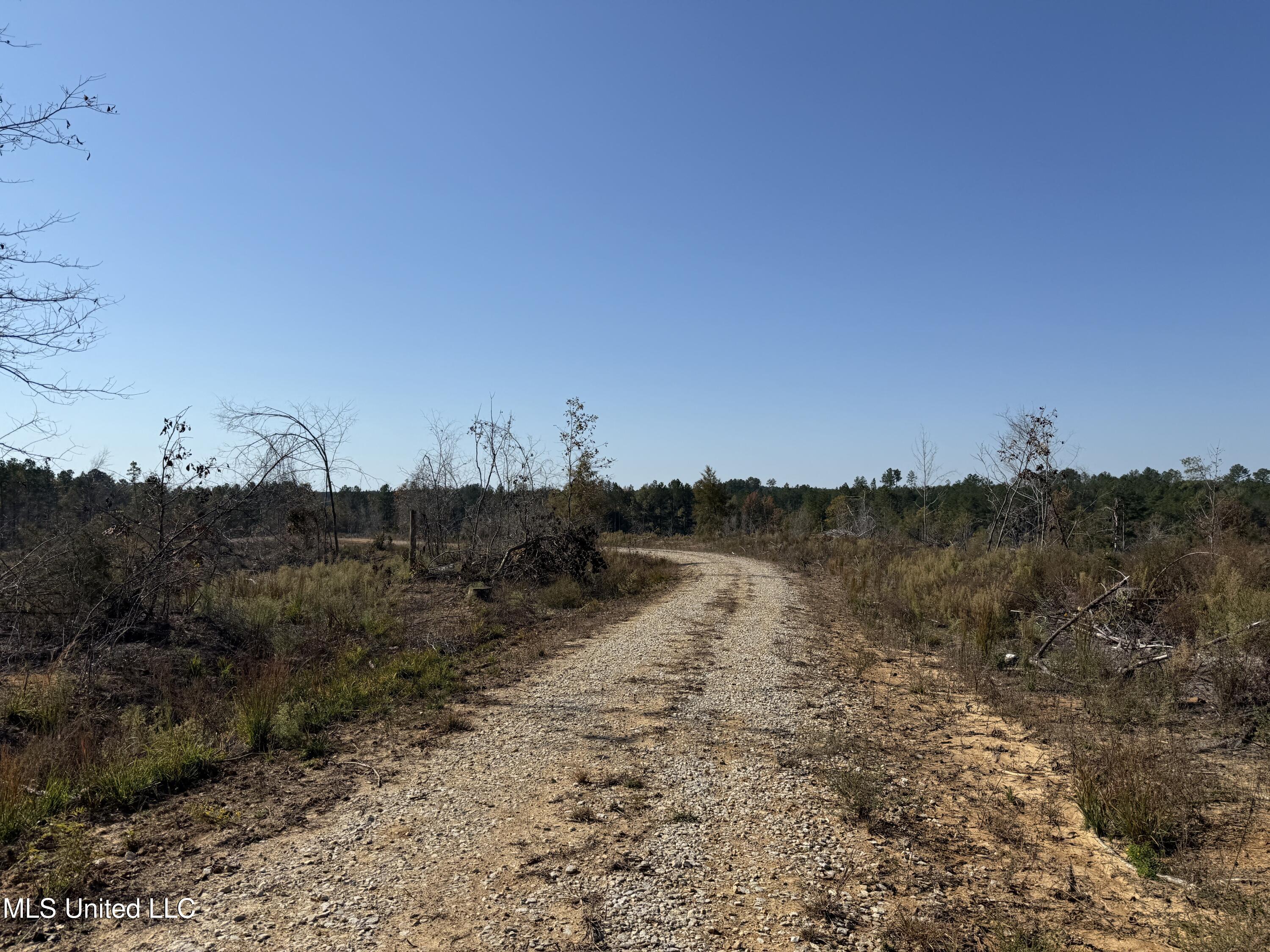 Off Highway 315, Water Valley, Mississippi image 34