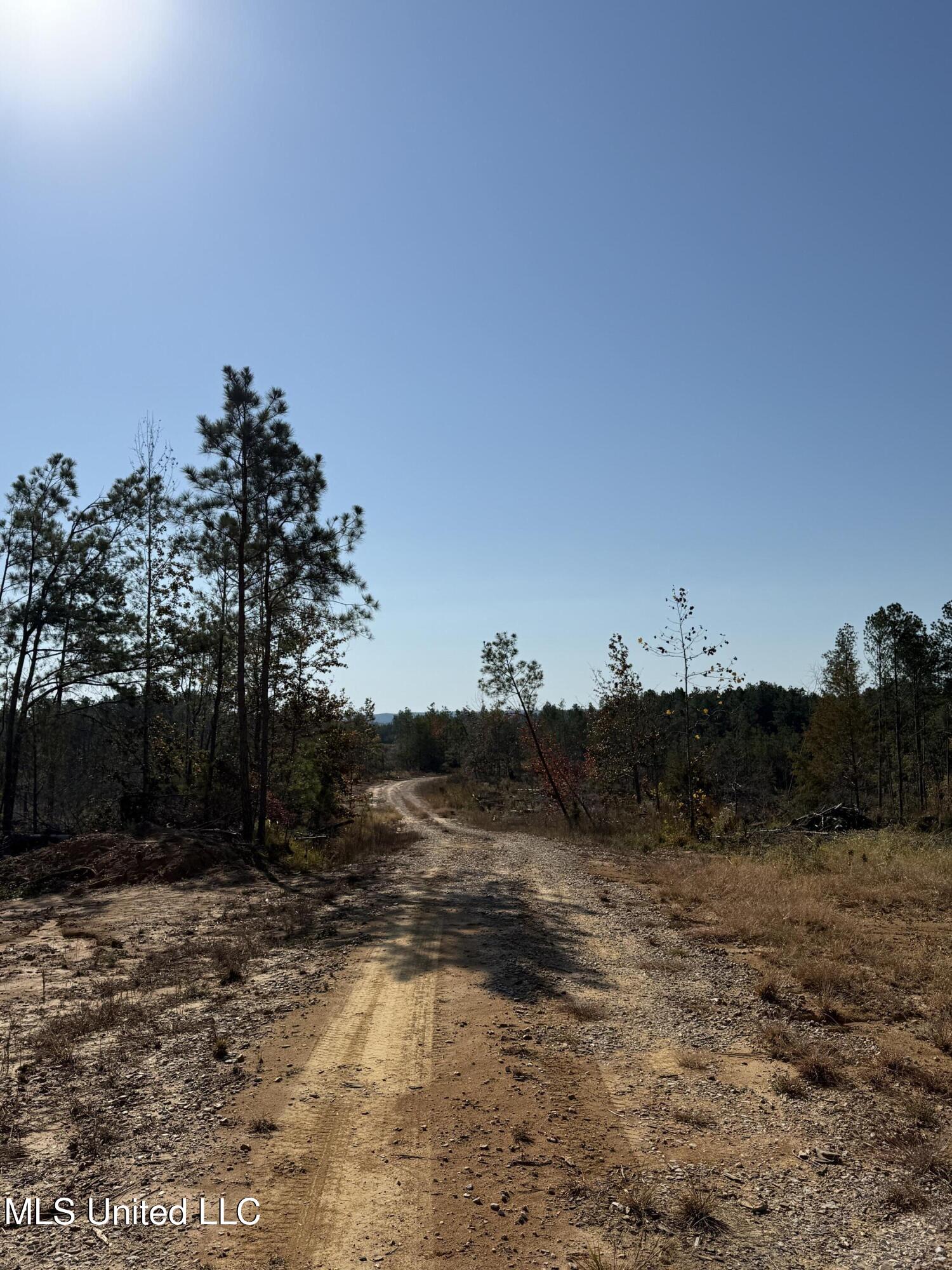 Off Highway 315, Water Valley, Mississippi image 24