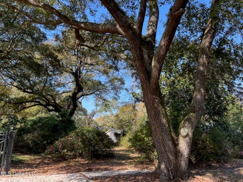 Vacant Land For Sale - Camelia<br/> Pass Christian, MS 39571