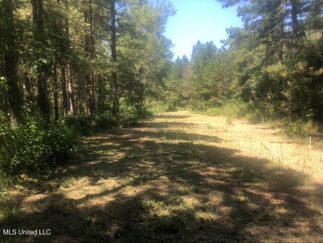 10501 Hwy 501, Forest, Mississippi image 25