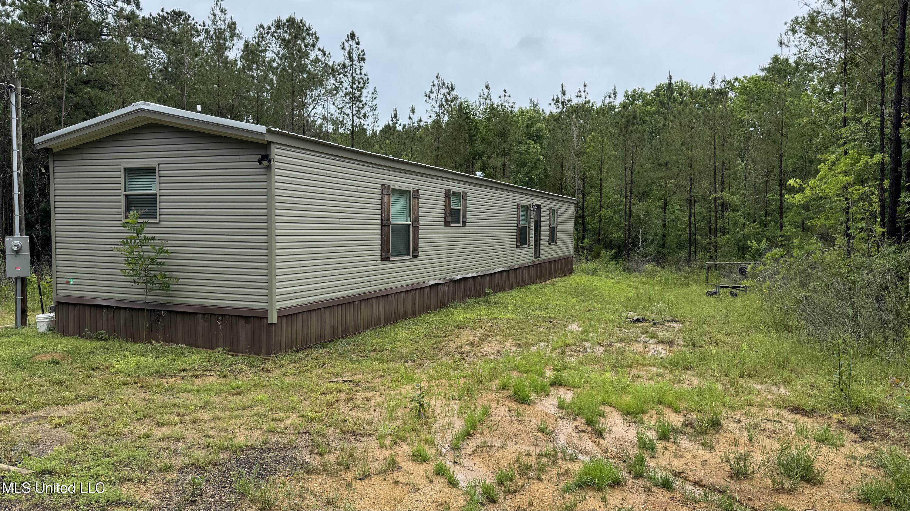 10501 Hwy 501, Forest, Mississippi image 1