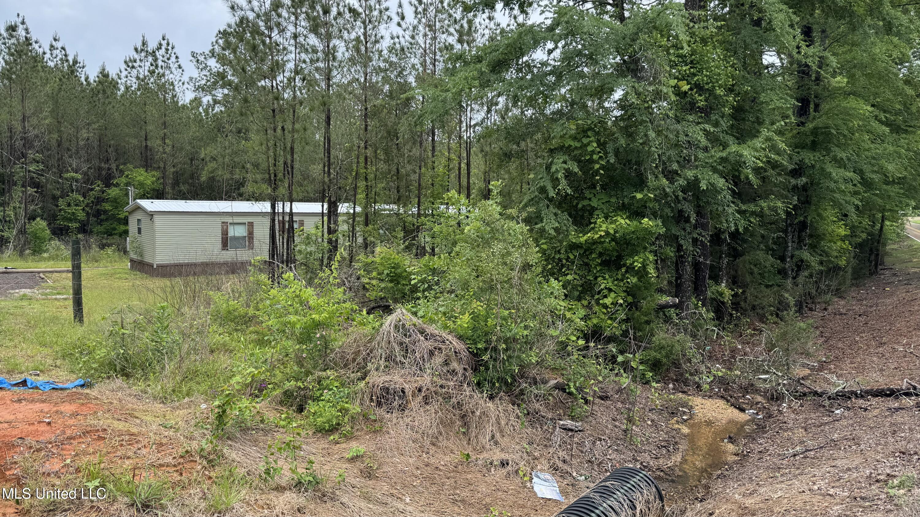 10501 Hwy 501, Forest, Mississippi image 2