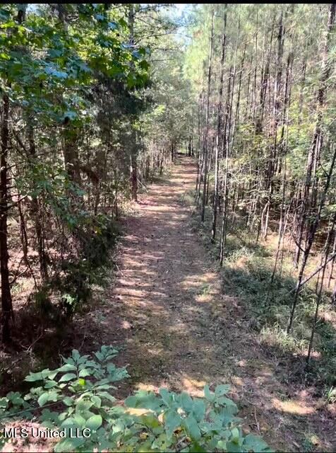 10501 Hwy 501, Forest, Mississippi image 24