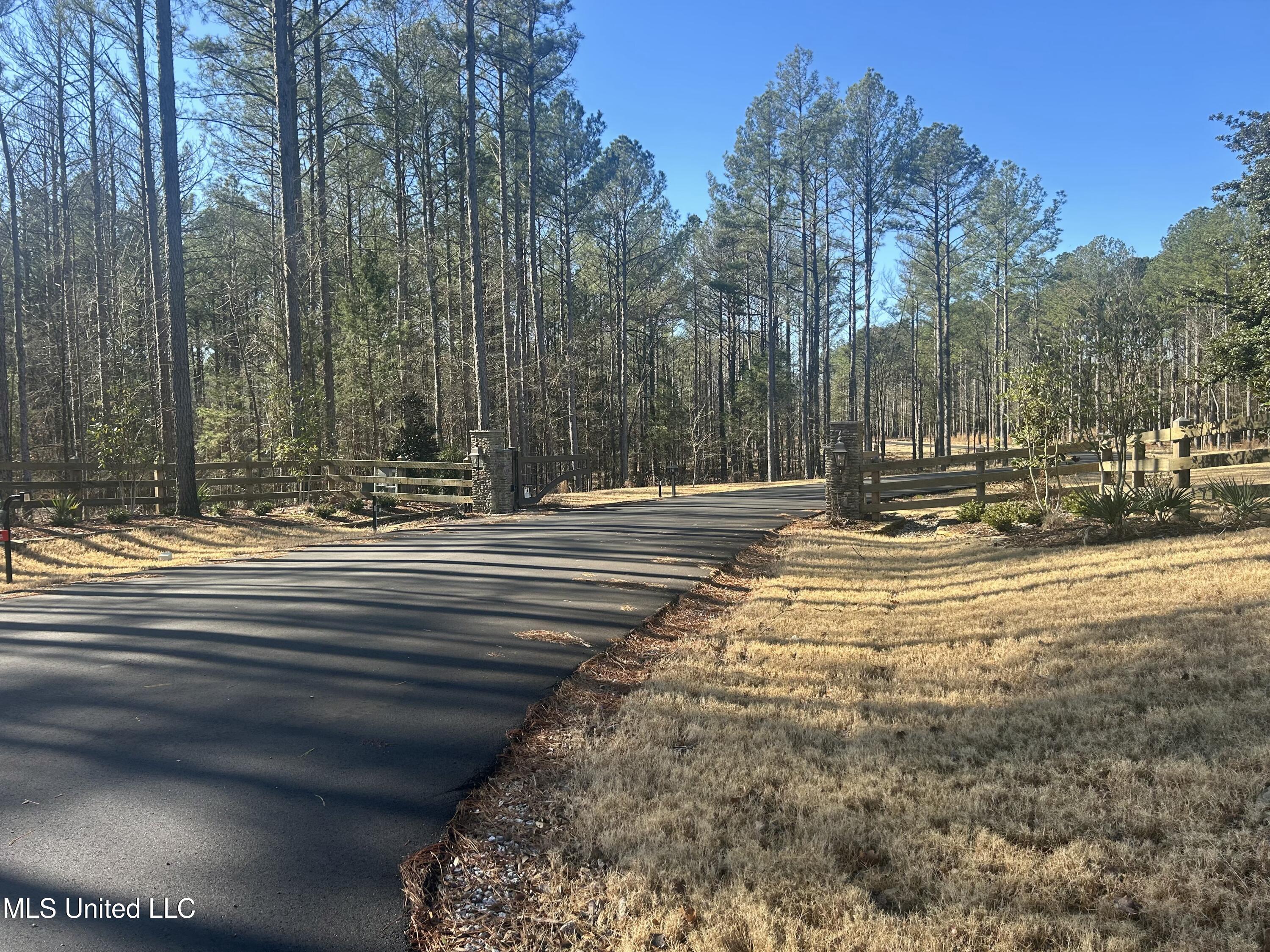 Springwood Trail, Flora, Mississippi image 8