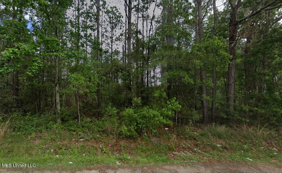 W Hinds Street, Bay Saint Louis, Mississippi image 1