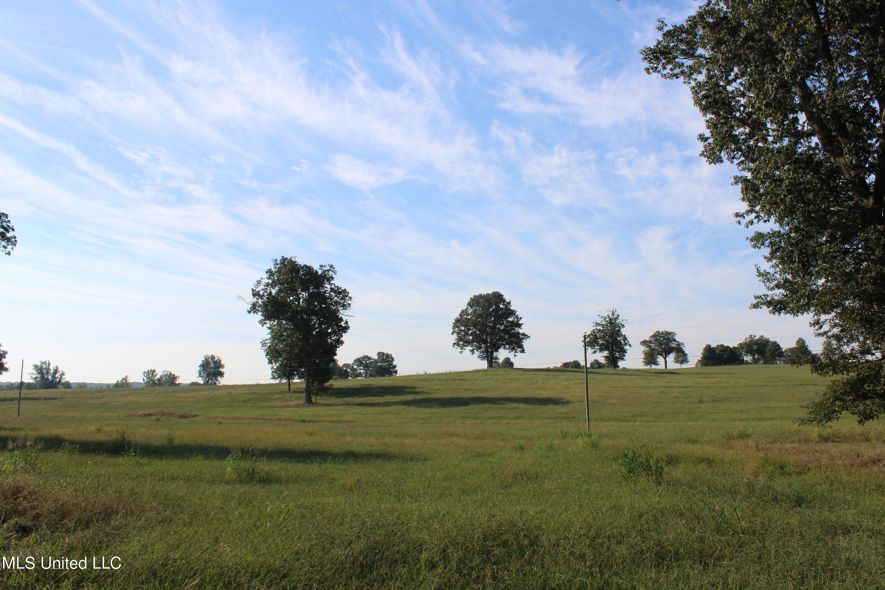 460 Myers Road, Byhalia, Mississippi image 15