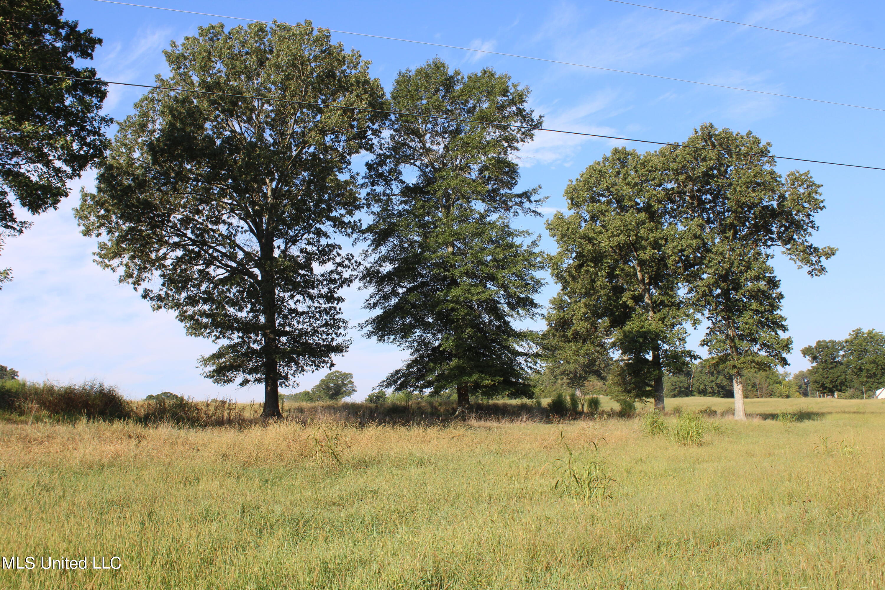 460 Myers Road, Byhalia, Mississippi image 17