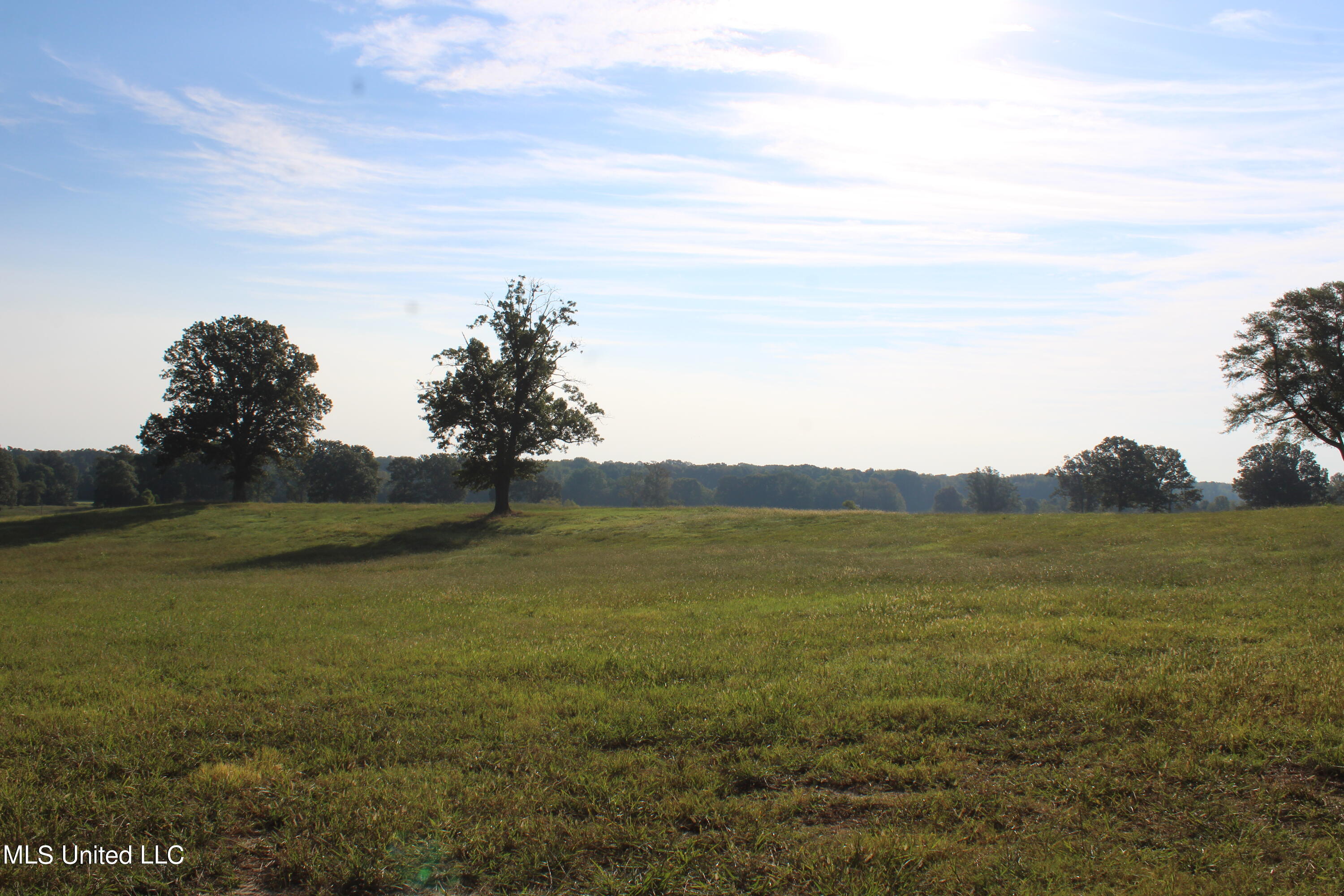 460 Myers Road, Byhalia, Mississippi image 1