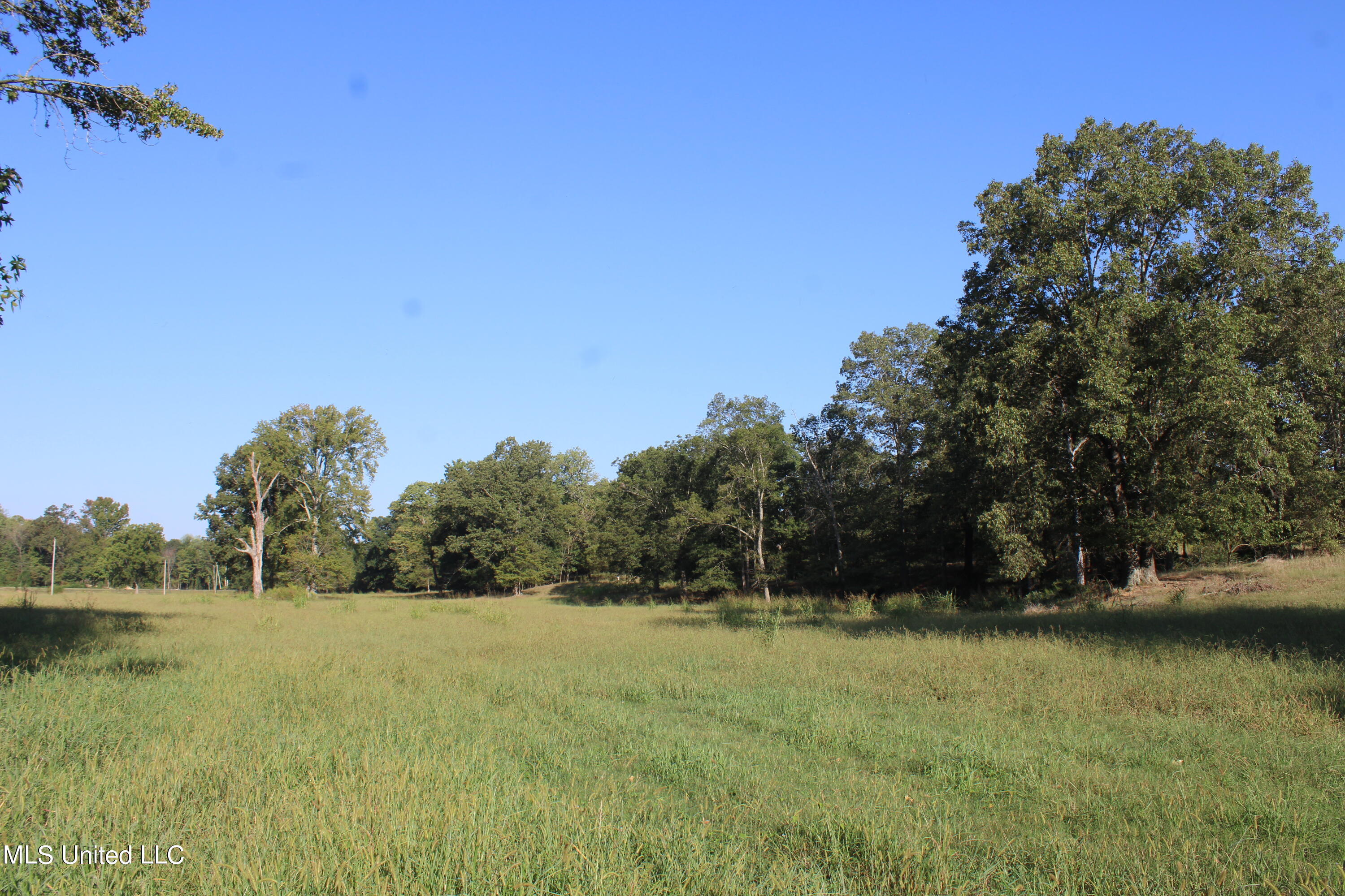 460 Myers Road, Byhalia, Mississippi image 9