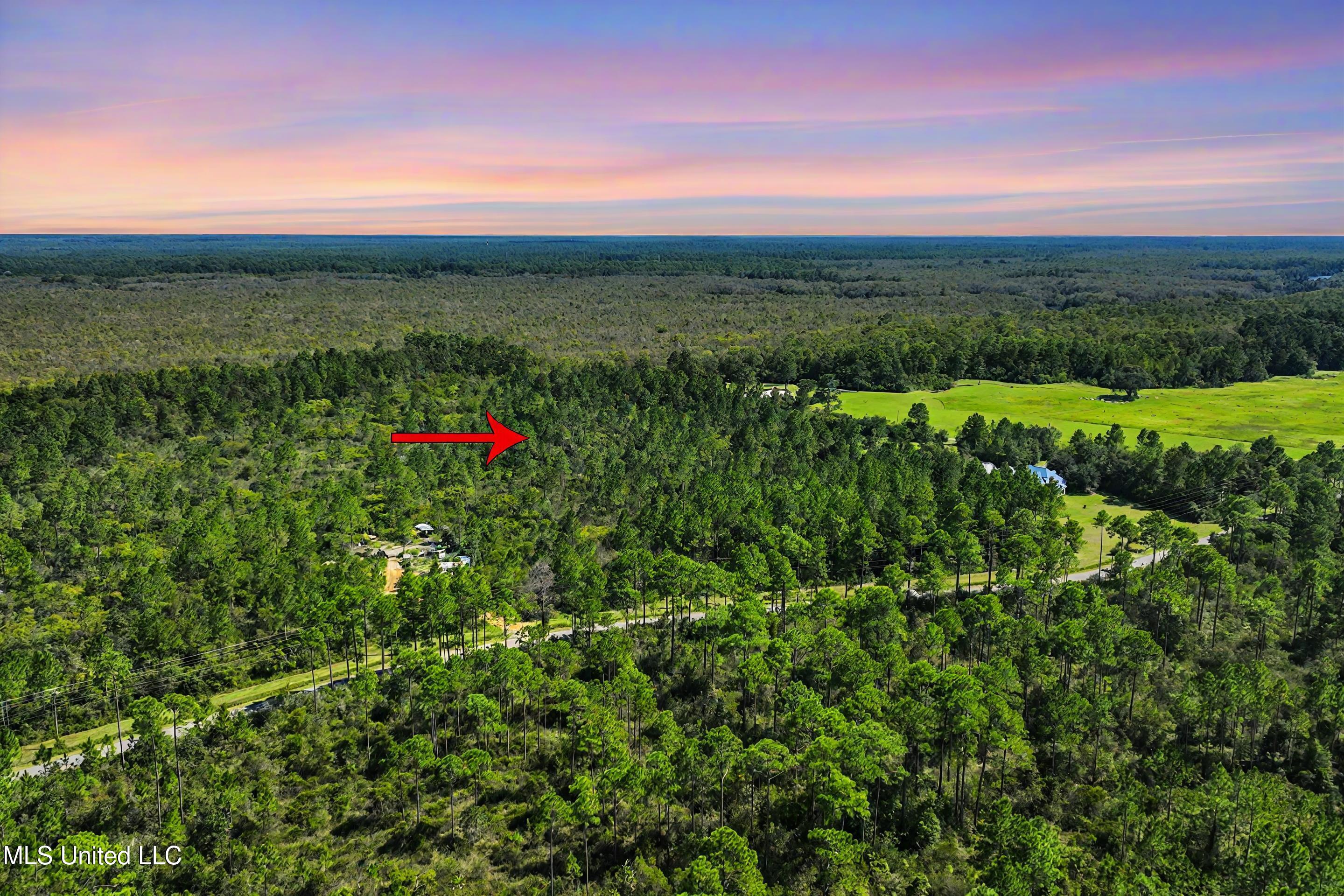 Pollock Ferry Road, Moss Point, Mississippi image 16