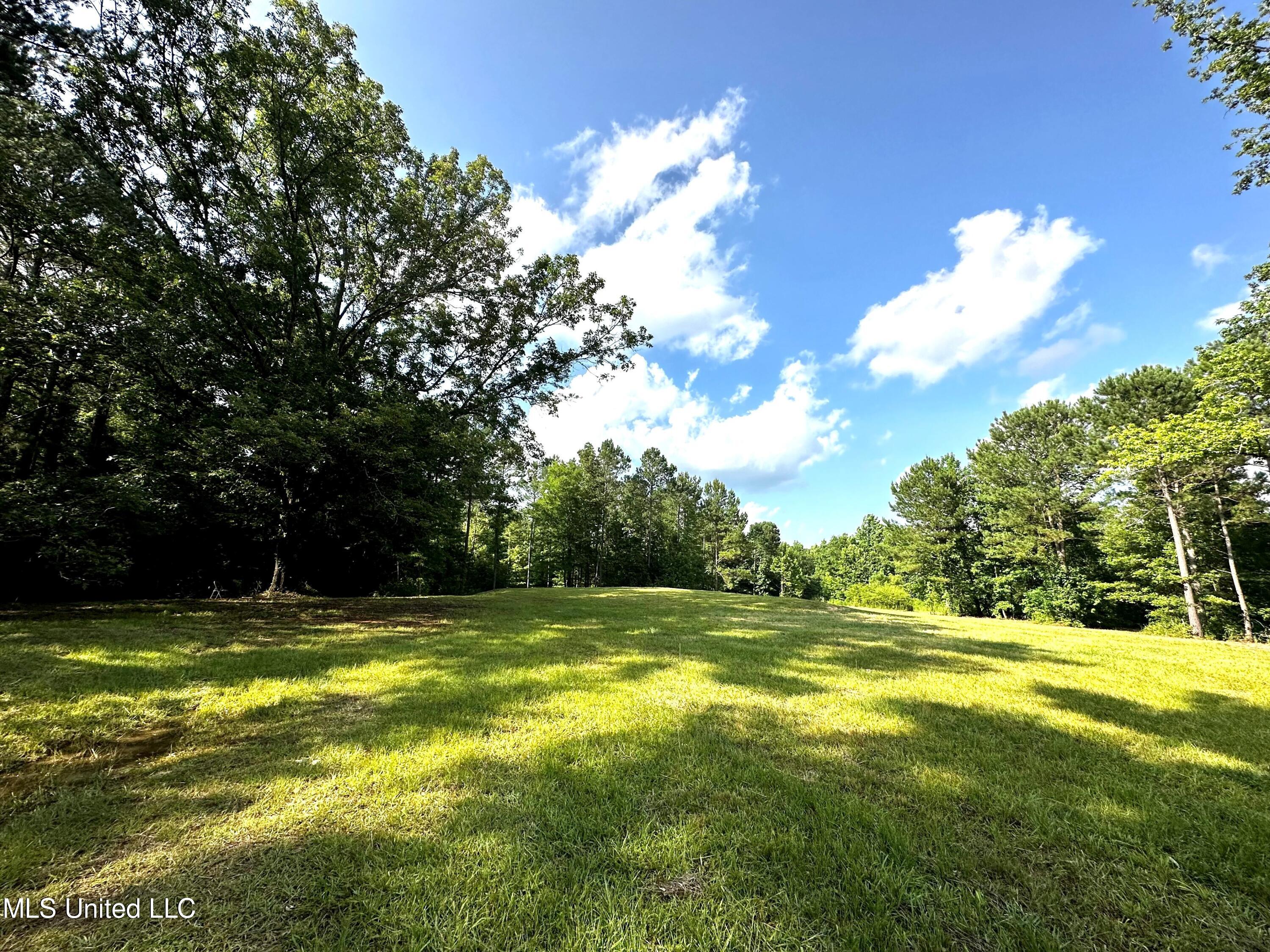 1204 Robinson Road, Canton, Mississippi image 4