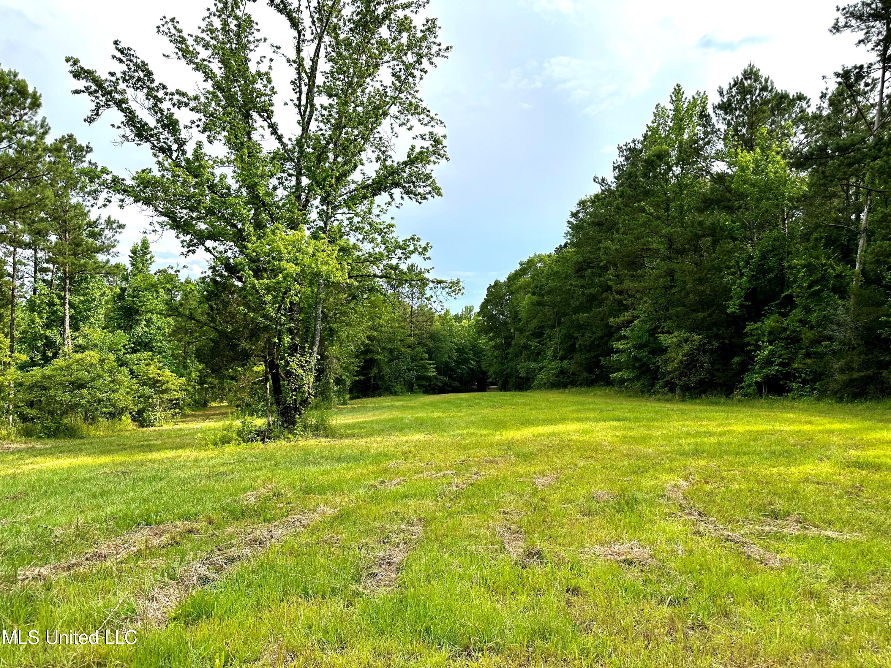 1204 Robinson Road, Canton, Mississippi image 9