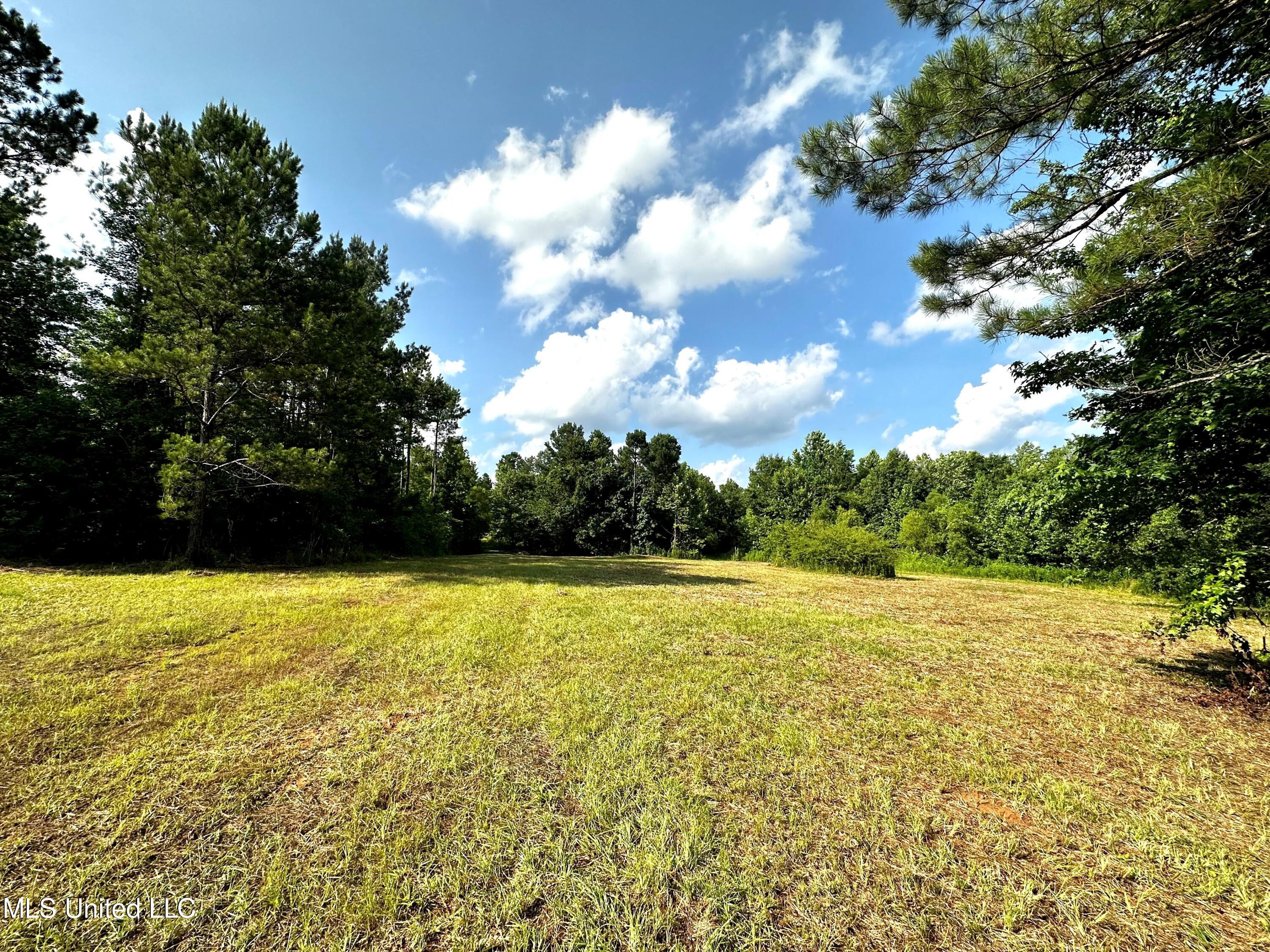 1204 Robinson Road, Canton, Mississippi image 14