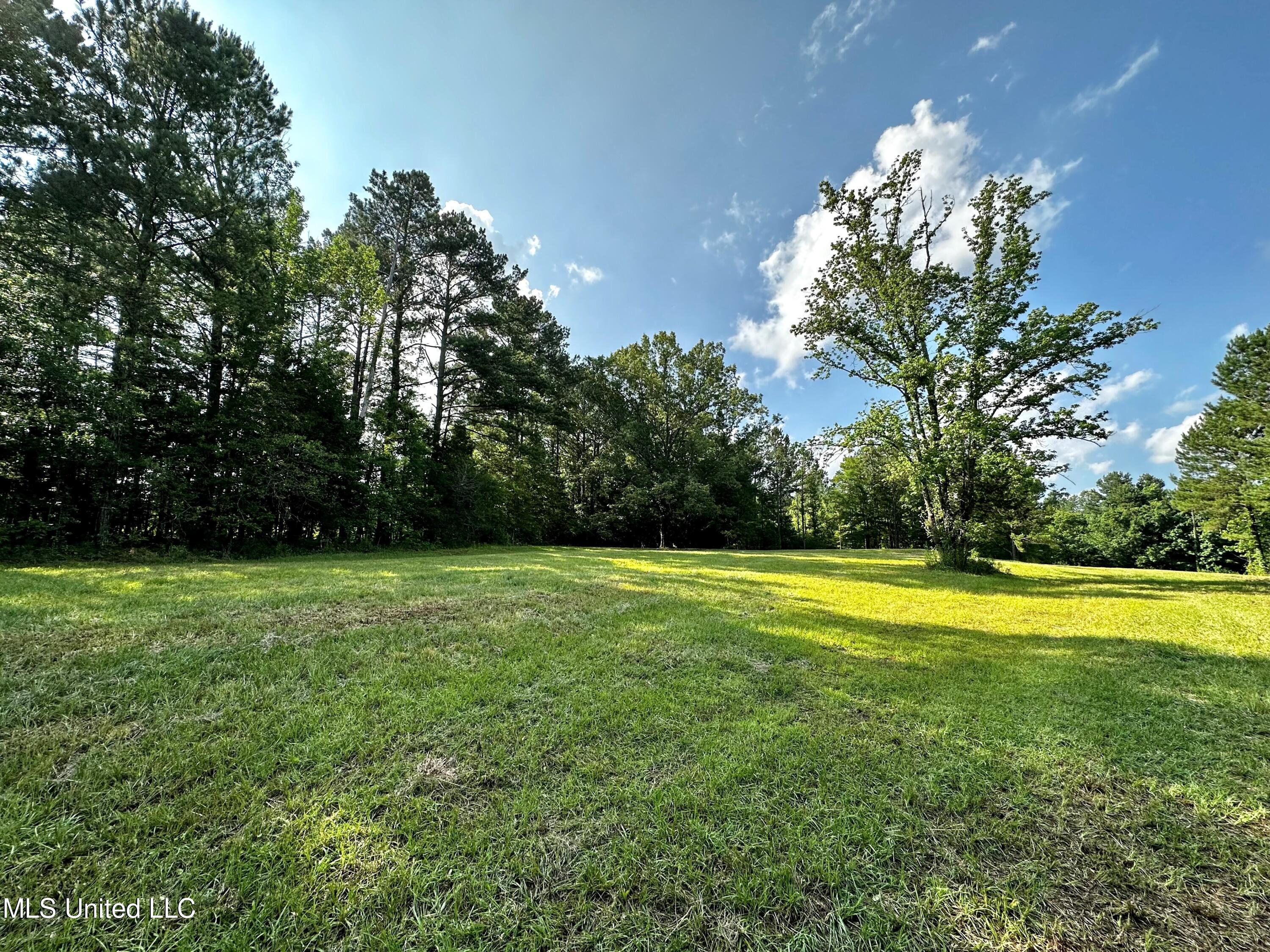 1204 Robinson Road, Canton, Mississippi image 1