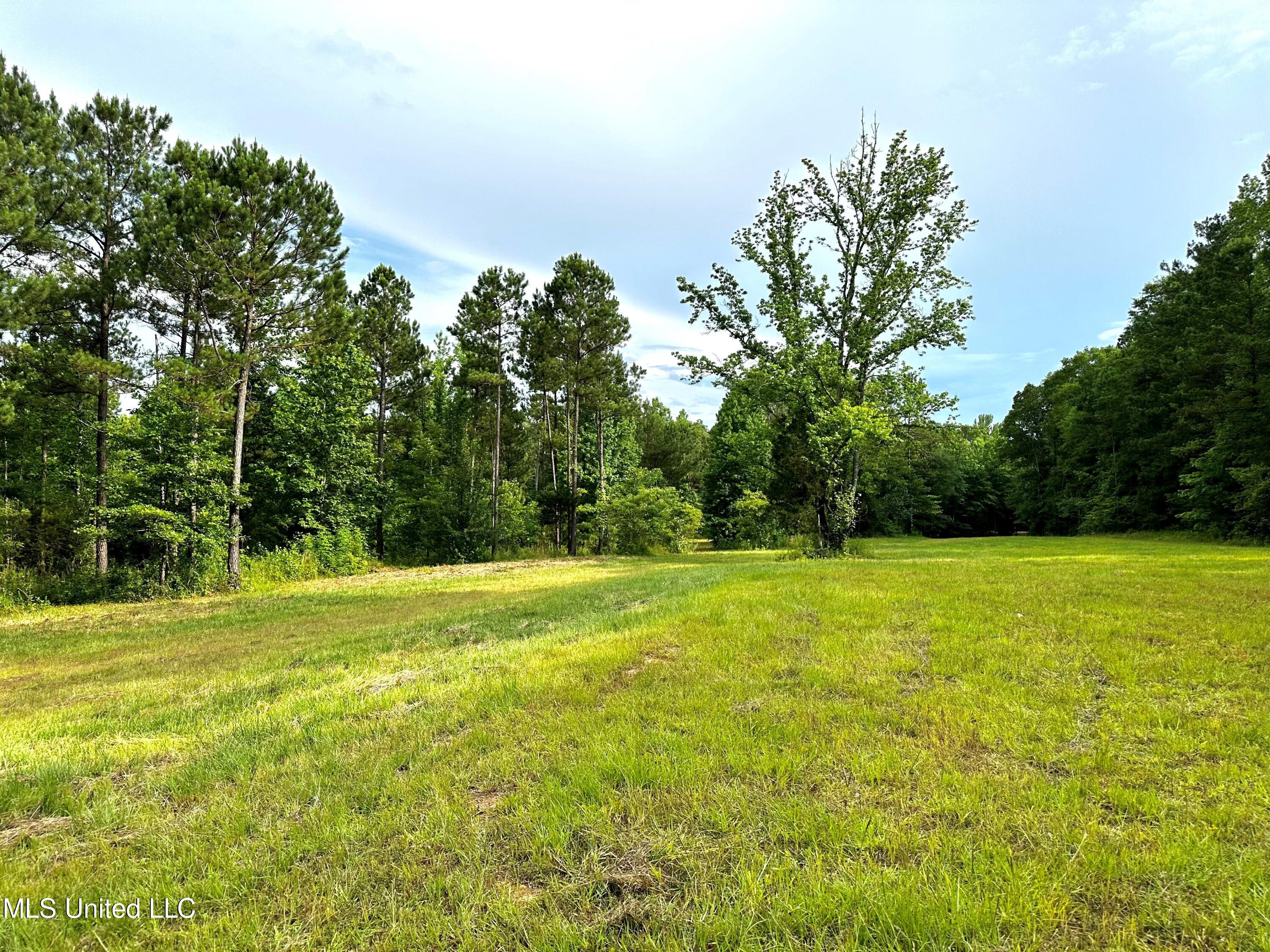 1204 Robinson Road, Canton, Mississippi image 7