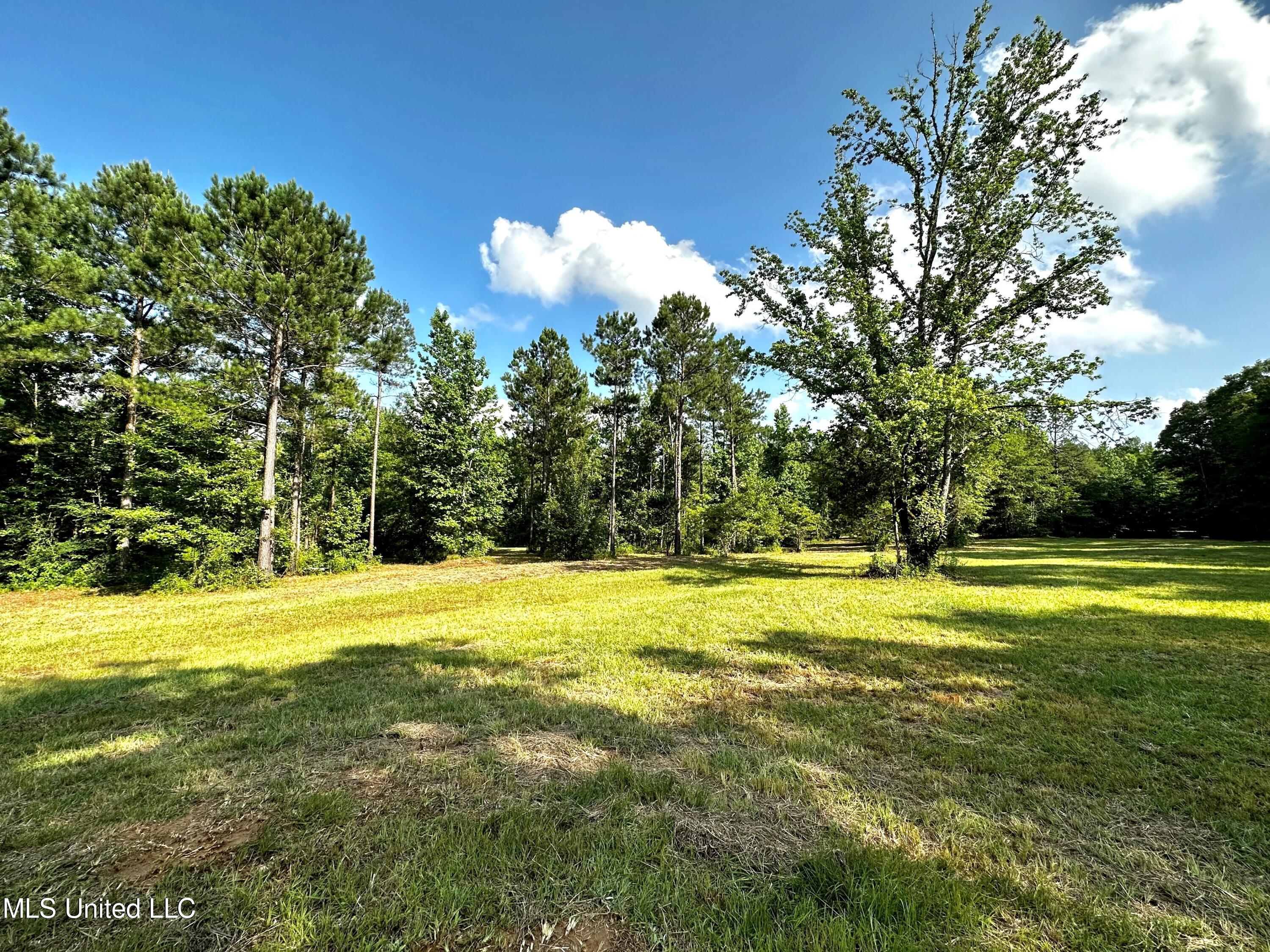 1204 Robinson Road, Canton, Mississippi image 5