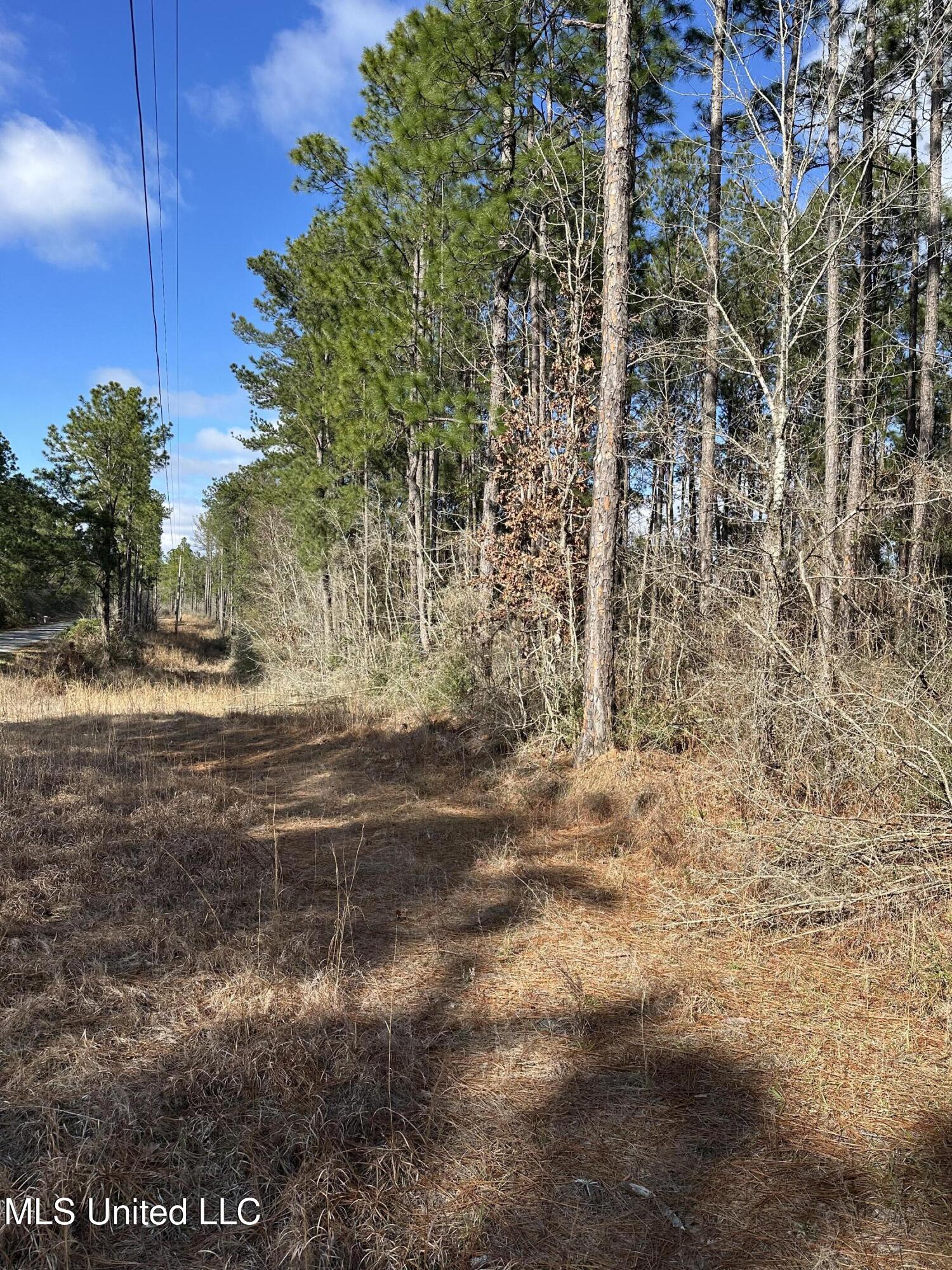 Emile Davis Road, Poplarville, Mississippi image 5
