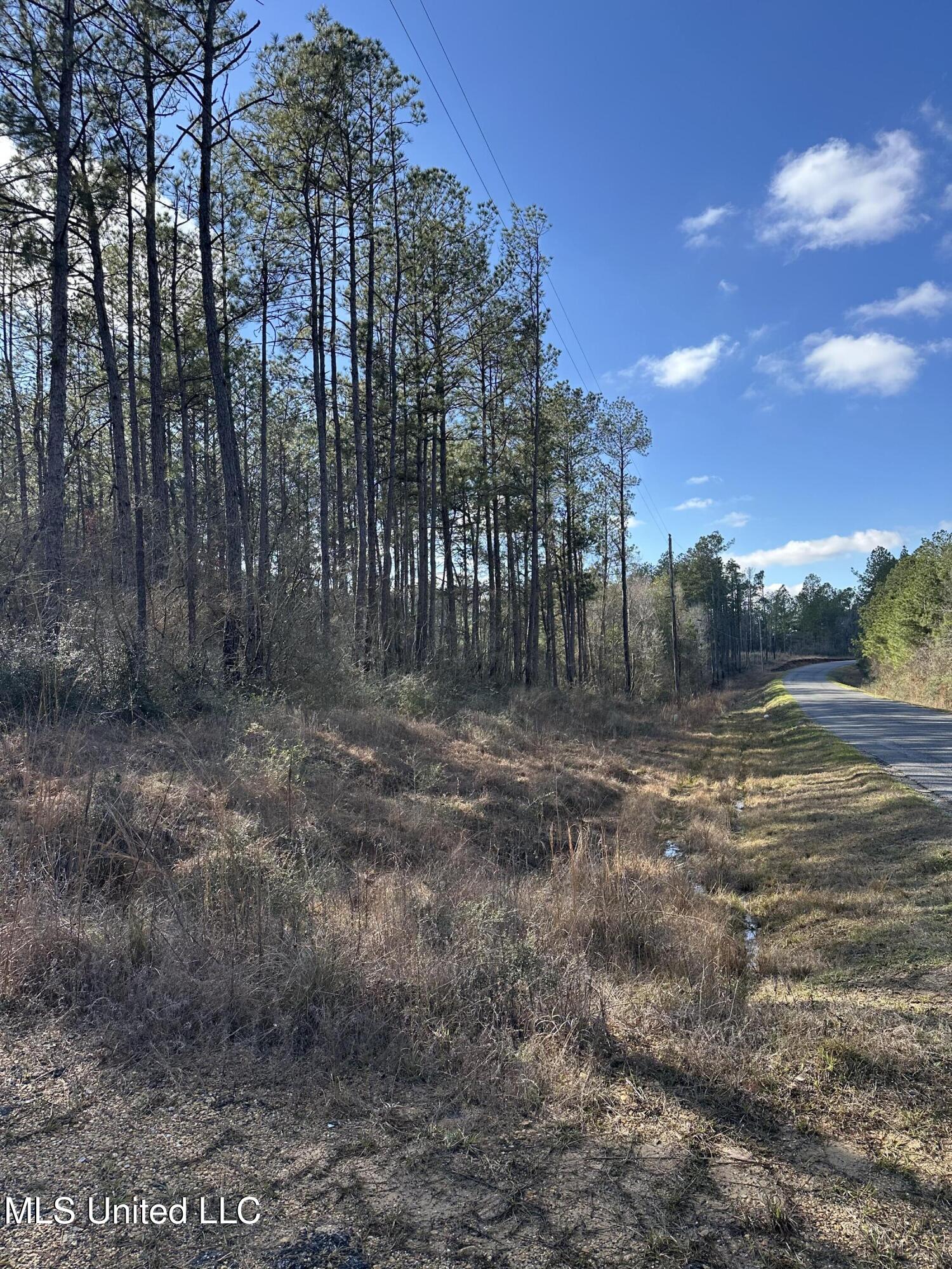 Emile Davis Road, Poplarville, Mississippi image 11