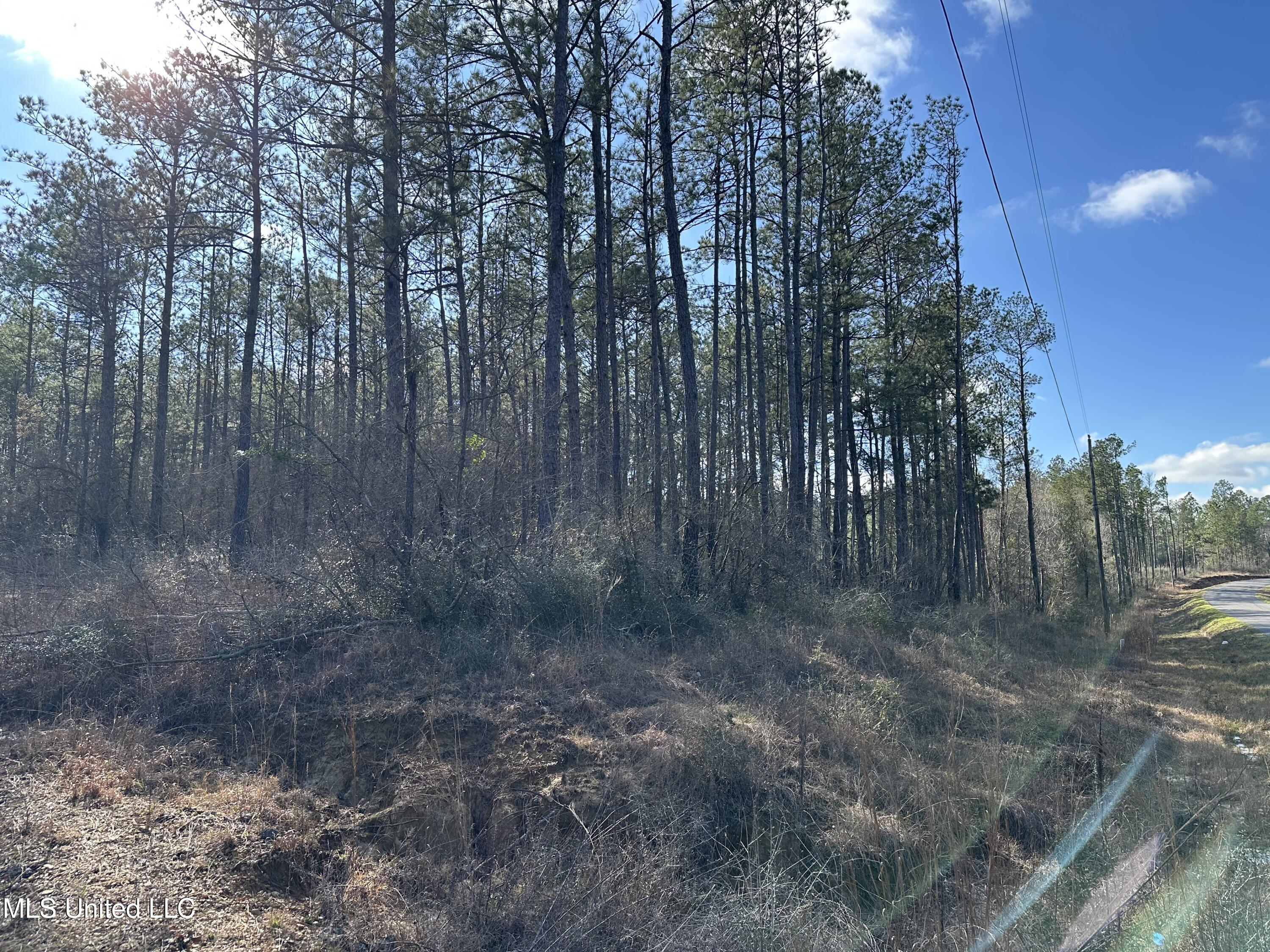 Emile Davis Road, Poplarville, Mississippi image 1