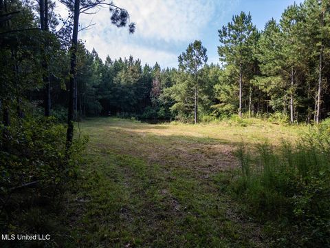 Vacant Land For Sale - 4069 Dixie Garden Road<br/> Wesson, MS 39191