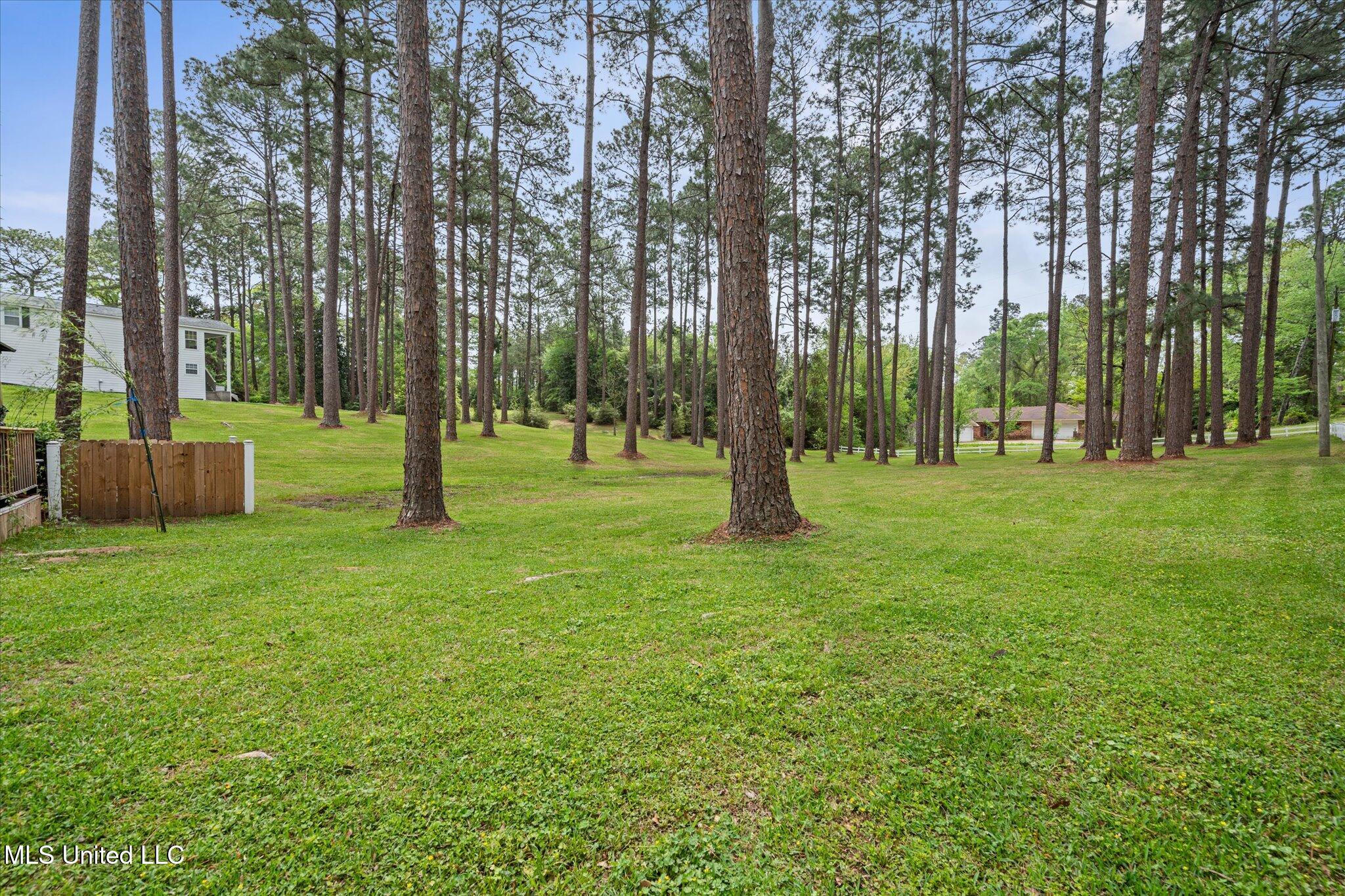 2426 Us-84, Laurel, Mississippi image 40