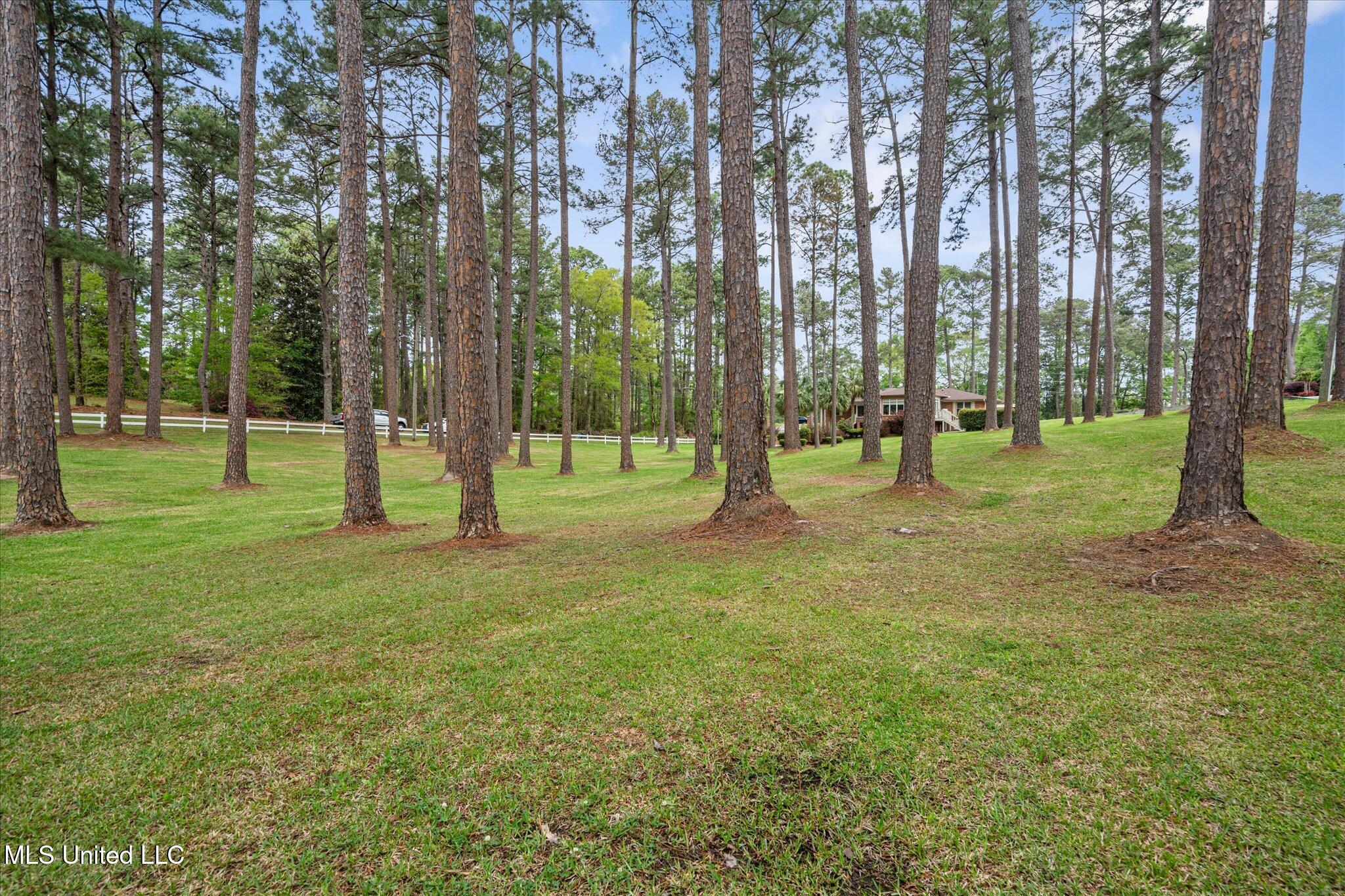 2426 Us-84, Laurel, Mississippi image 39
